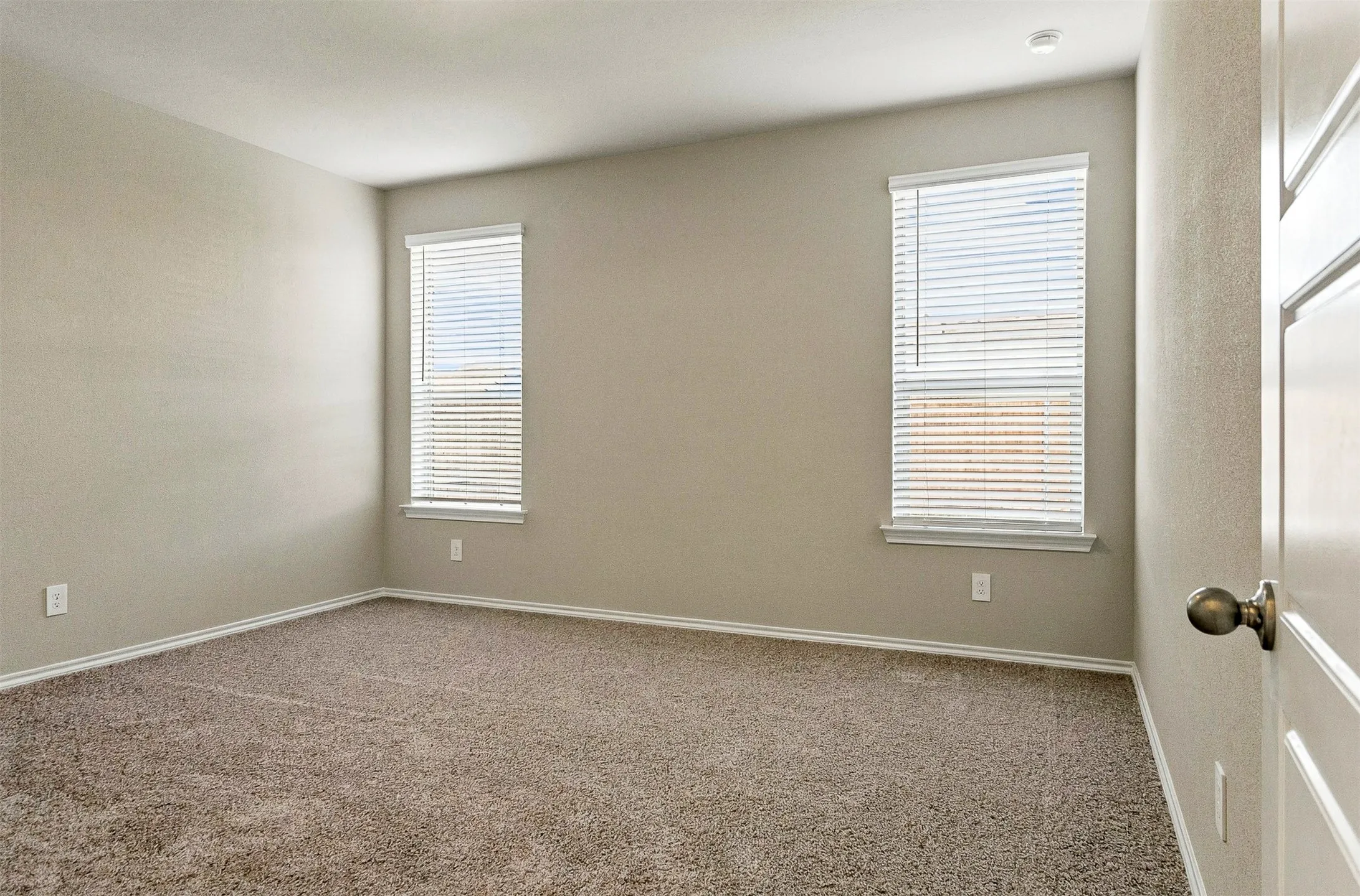 Carpeted flooring, two windows with blinds, light-toned wall paint, and a paneled interior door