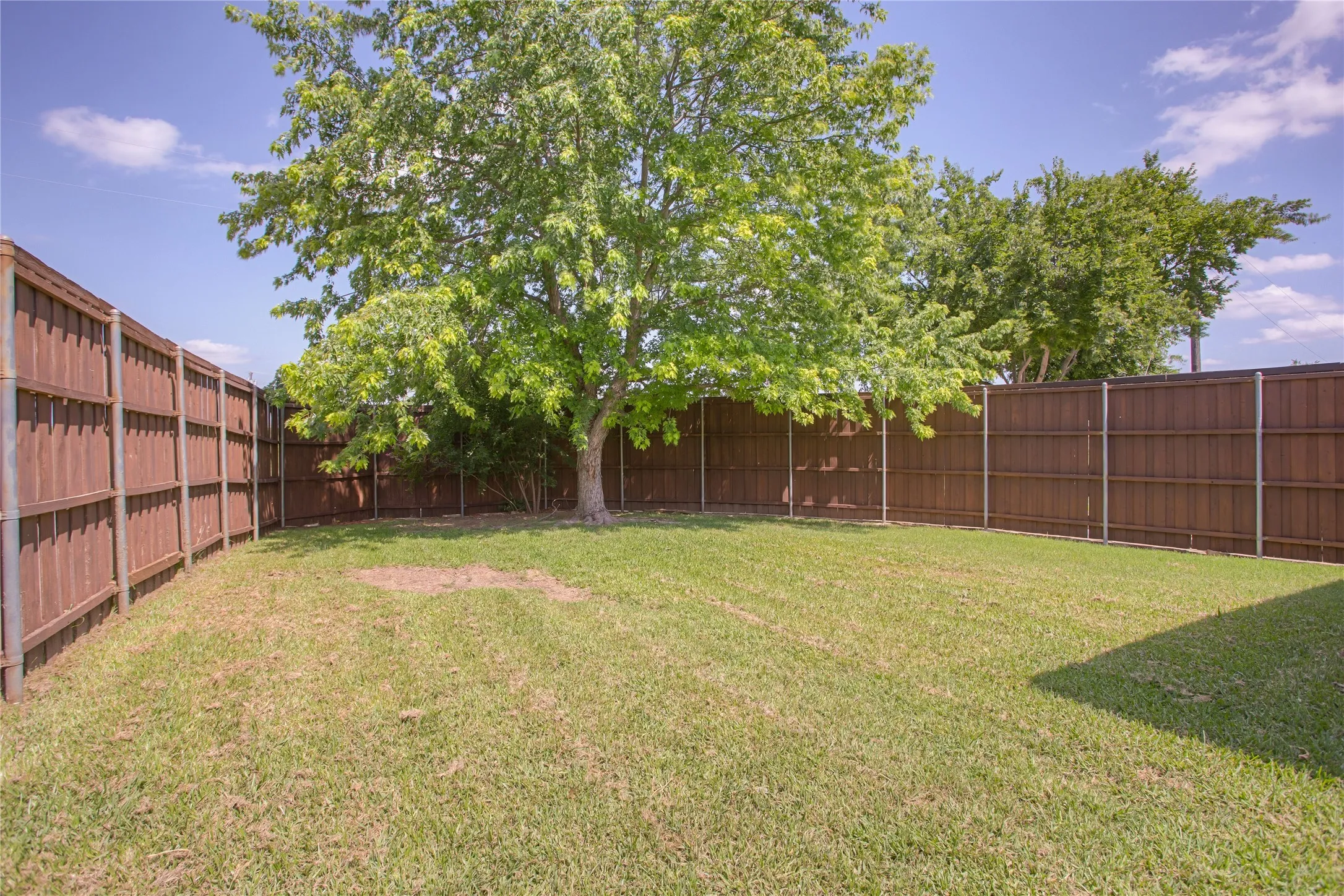 Expansive backyard featuring a mature tree, wood fencing, and a grassy area