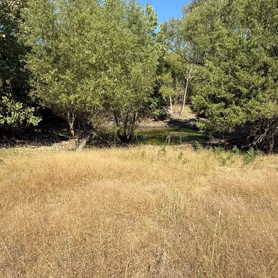 For Sale in Collin County , 18081 Burden Ranch, Farmersville, Texas 75442, 0, 0, Garage spaces, 0 Sqft, built in 0, mls#21396888, Real Estate Agent in Farmersville, Homes For Sale in Collin county, Homes For Sale in Farmersville, Realtor in Farmersville Texas, Real Estate Brokerage Independent Realty Texas, Luminita Cordes Realtor
