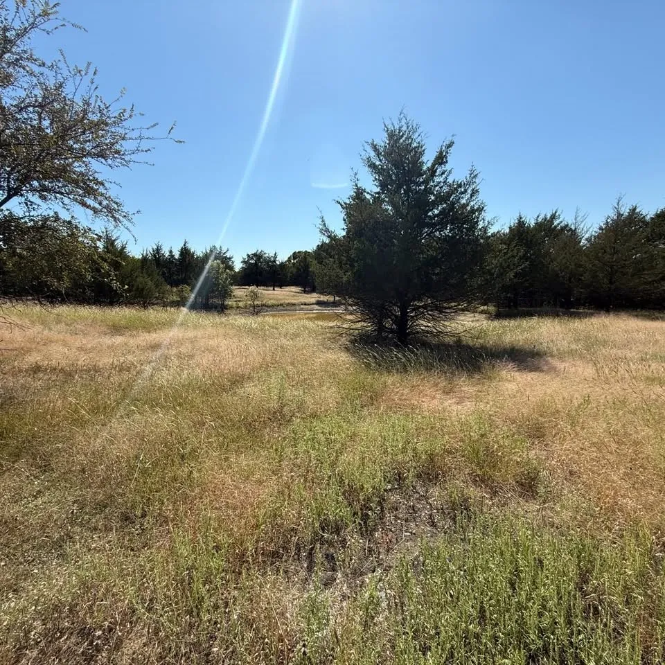 For Sale in Collin County , 18081 Burden Ranch, Farmersville, Texas 75442, 0, 0, Garage spaces, 0 Sqft, built in 0, mls#21396888, Real Estate Agent in Farmersville, Homes For Sale in Collin county, Homes For Sale in Farmersville, Realtor in Farmersville Texas, Real Estate Brokerage Independent Realty Texas, Luminita Cordes Realtor