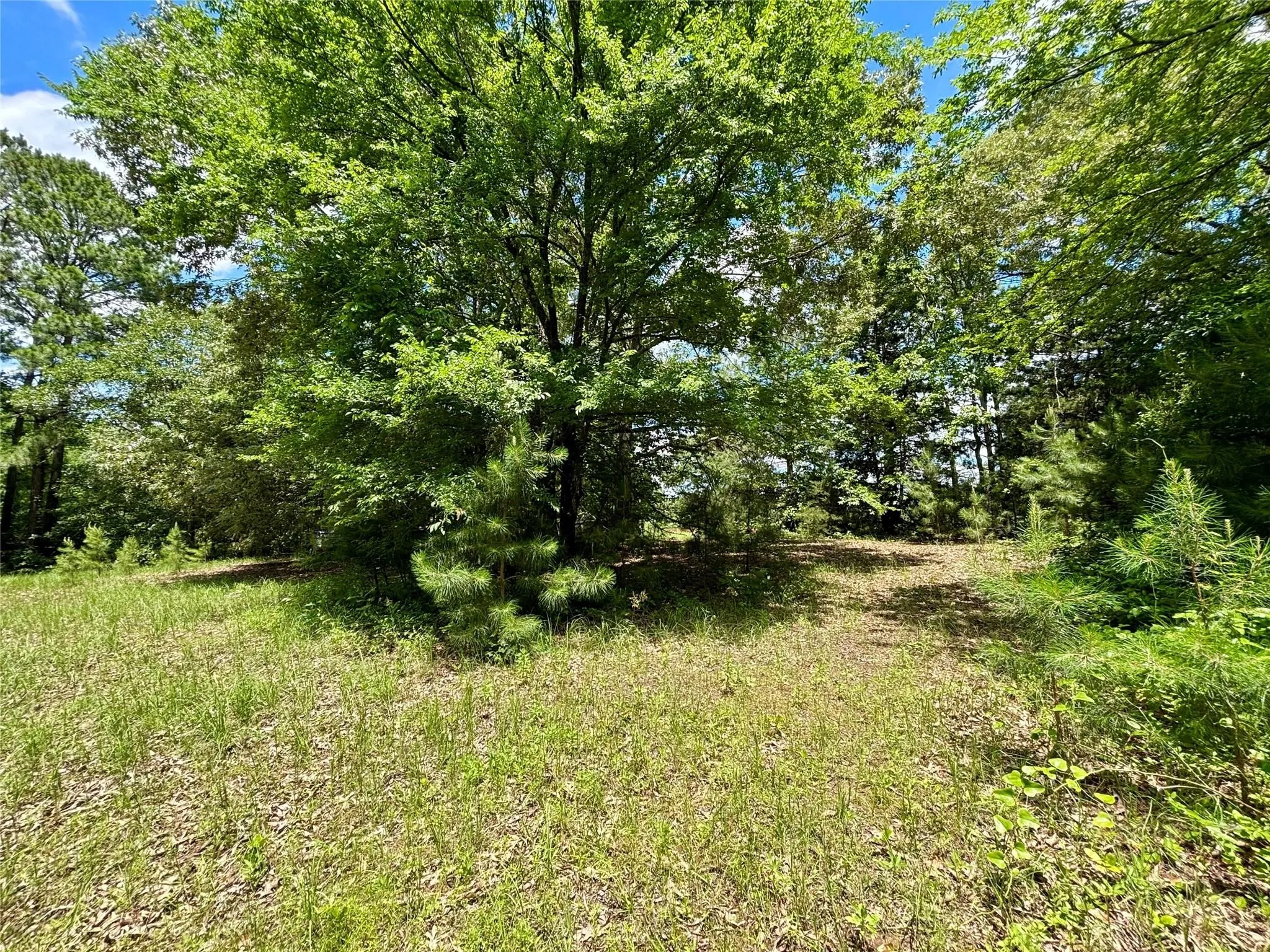 Mobile Home For Sale in Upshur County , 5982 Doe Trail, Gilmer, Texas 75645, 3 Bedroom, 2 Bathroom, Garage spaces, 1,508 Sqft, built in 2000, mls#21396915, Real Estate Agent in Gilmer, Homes For Sale in Upshur county, Homes For Sale in Gilmer, Realtor in Gilmer Texas, Real Estate Brokerage Independent Realty Texas, Luminita Cordes Realtor
