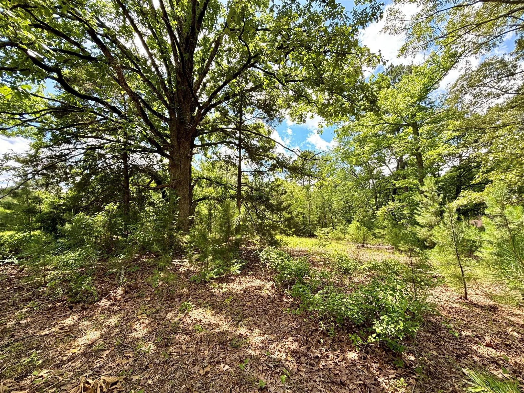 Mobile Home For Sale in Upshur County , 5982 Doe Trail, Gilmer, Texas 75645, 3 Bedroom, 2 Bathroom, Garage spaces, 1,508 Sqft, built in 2000, mls#21396915, Real Estate Agent in Gilmer, Homes For Sale in Upshur county, Homes For Sale in Gilmer, Realtor in Gilmer Texas, Real Estate Brokerage Independent Realty Texas, Luminita Cordes Realtor