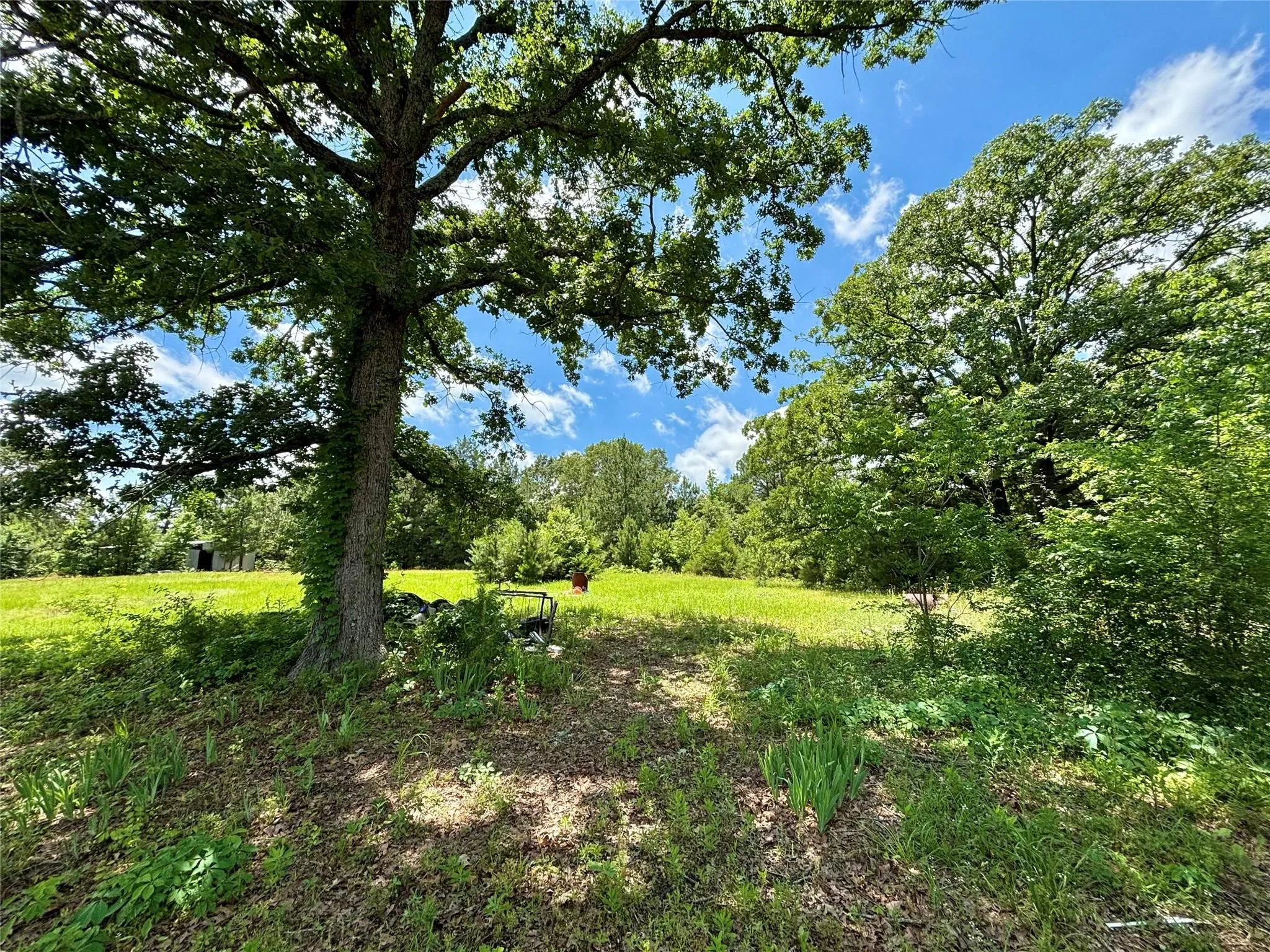 Mobile Home For Sale in Upshur County , 5982 Doe Trail, Gilmer, Texas 75645, 3 Bedroom, 2 Bathroom, Garage spaces, 1,508 Sqft, built in 2000, mls#21396915, Real Estate Agent in Gilmer, Homes For Sale in Upshur county, Homes For Sale in Gilmer, Realtor in Gilmer Texas, Real Estate Brokerage Independent Realty Texas, Luminita Cordes Realtor