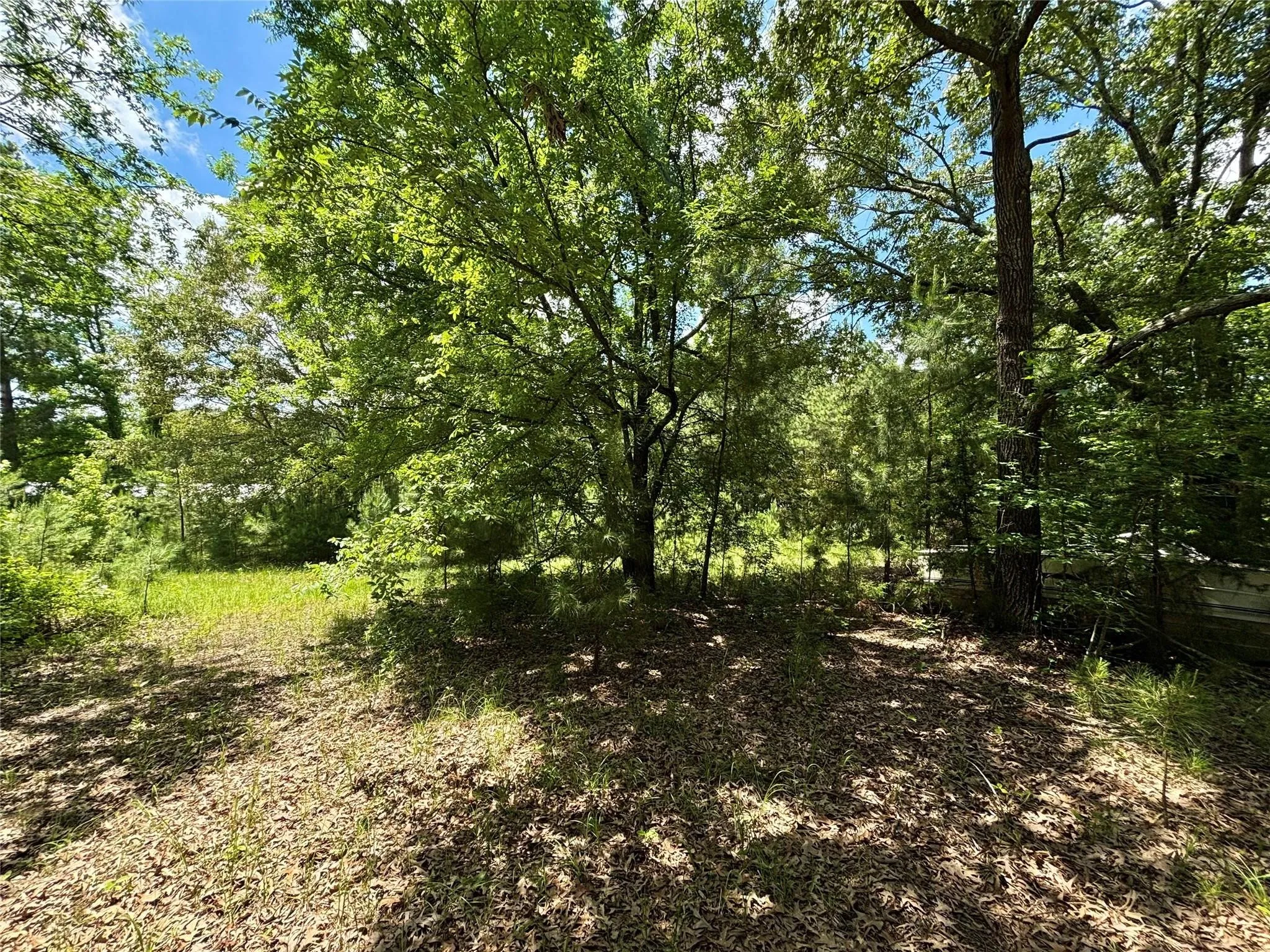 Mobile Home For Sale in Upshur County , 5982 Doe Trail, Gilmer, Texas 75645, 3 Bedroom, 2 Bathroom, Garage spaces, 1,508 Sqft, built in 2000, mls#21396915, Real Estate Agent in Gilmer, Homes For Sale in Upshur county, Homes For Sale in Gilmer, Realtor in Gilmer Texas, Real Estate Brokerage Independent Realty Texas, Luminita Cordes Realtor