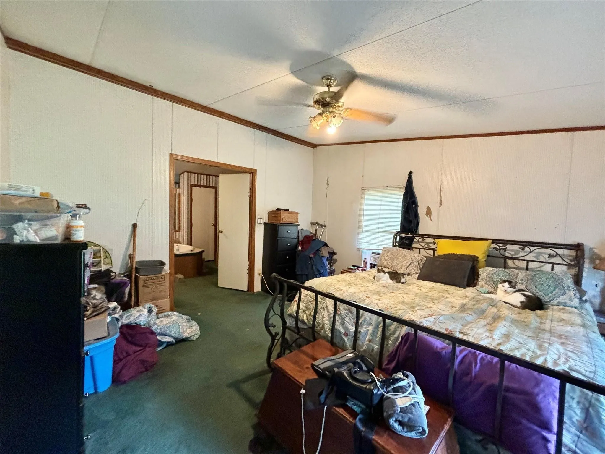 Mobile Home For Sale in Upshur County , 5982 Doe Trail, Gilmer, Texas 75645, 3 Bedroom, 2 Bathroom, Garage spaces, 1,508 Sqft, built in 2000, mls#21396915, Real Estate Agent in Gilmer, Homes For Sale in Upshur county, Homes For Sale in Gilmer, Realtor in Gilmer Texas, Real Estate Brokerage Independent Realty Texas, Luminita Cordes Realtor