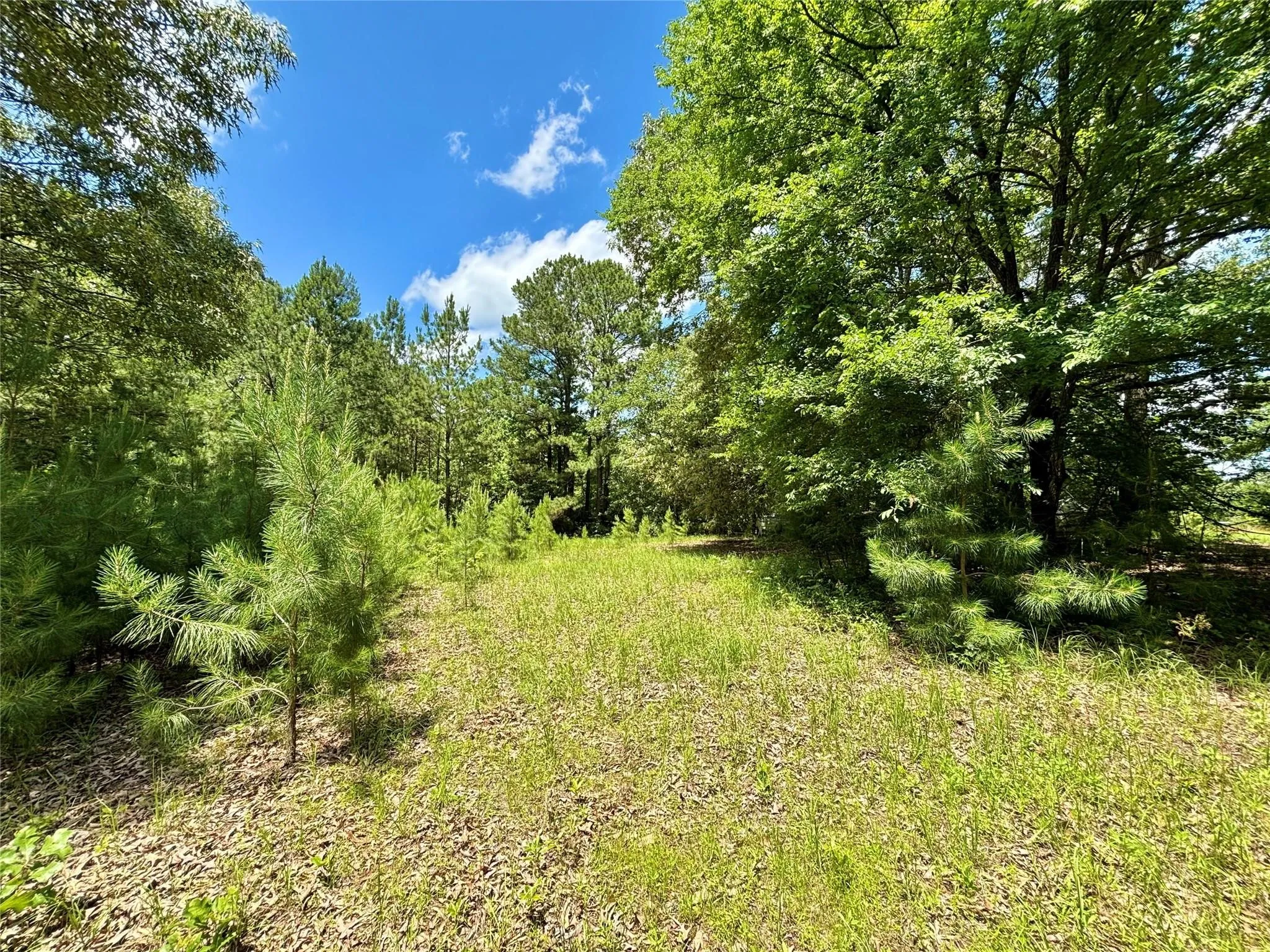 Mobile Home For Sale in Upshur County , 5982 Doe Trail, Gilmer, Texas 75645, 3 Bedroom, 2 Bathroom, Garage spaces, 1,508 Sqft, built in 2000, mls#21396915, Real Estate Agent in Gilmer, Homes For Sale in Upshur county, Homes For Sale in Gilmer, Realtor in Gilmer Texas, Real Estate Brokerage Independent Realty Texas, Luminita Cordes Realtor