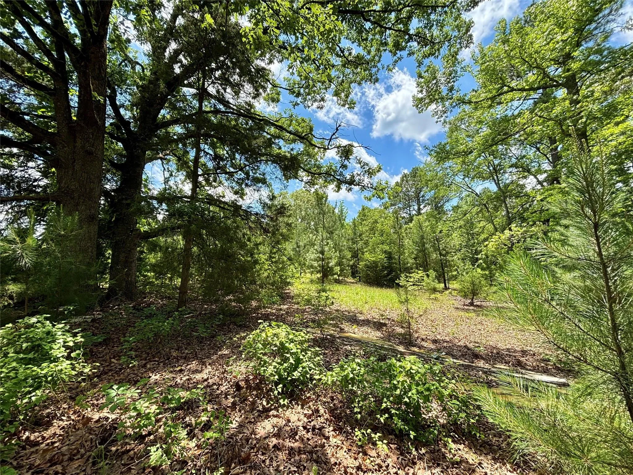 Mobile Home For Sale in Upshur County , 5982 Doe Trail, Gilmer, Texas 75645, 3 Bedroom, 2 Bathroom, Garage spaces, 1,508 Sqft, built in 2000, mls#21396915, Real Estate Agent in Gilmer, Homes For Sale in Upshur county, Homes For Sale in Gilmer, Realtor in Gilmer Texas, Real Estate Brokerage Independent Realty Texas, Luminita Cordes Realtor