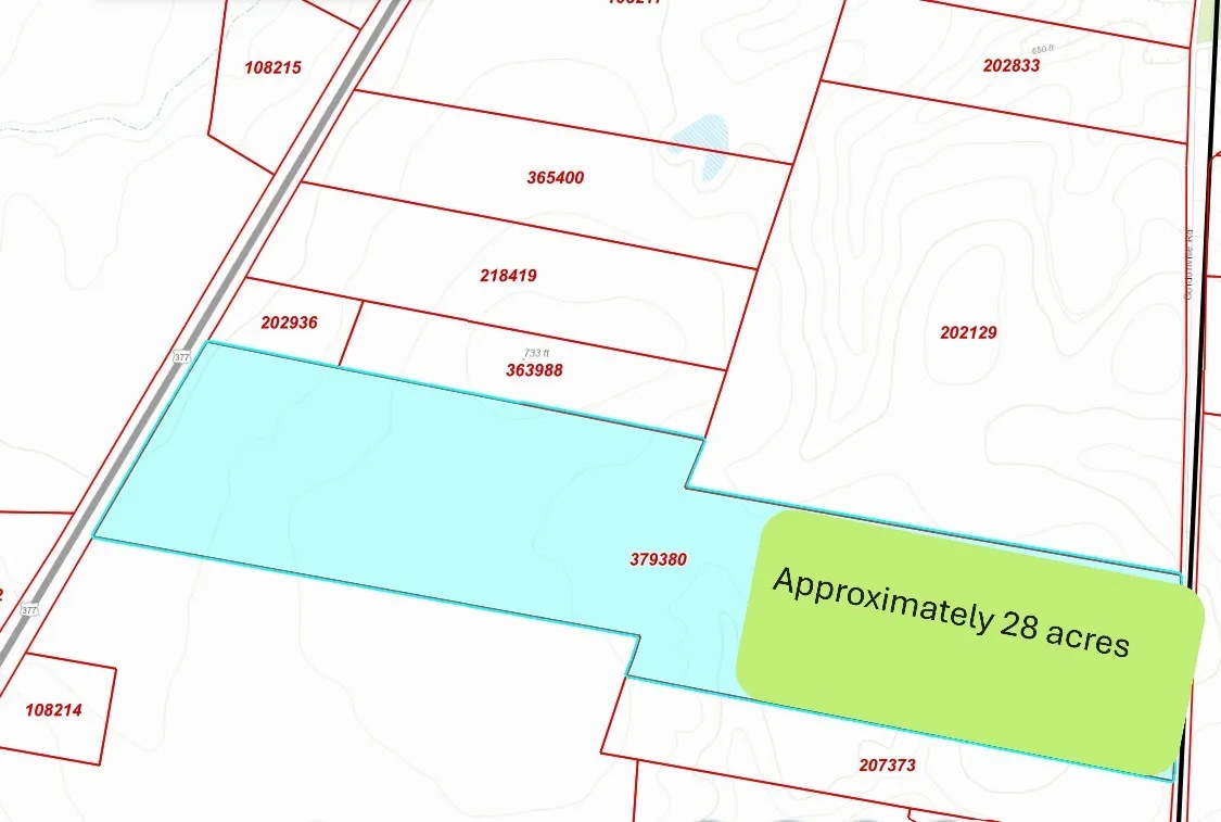 Unimproved Land For Sale in Grayson County , 000 Gordonville Rd, Gordonville, Texas 76245, 0, 0, Garage spaces, 0 Sqft, built in 0, mls#21395952, Real Estate Agent in Gordonville, Homes For Sale in Grayson county, Homes For Sale in Gordonville, Realtor in Gordonville Texas, Real Estate Brokerage Independent Realty Texas, Luminita Cordes Realtor