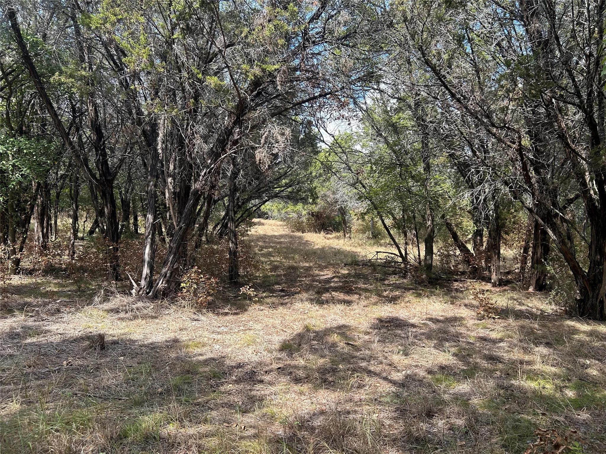 Wooded acreage featuring a natural path and mature trees
