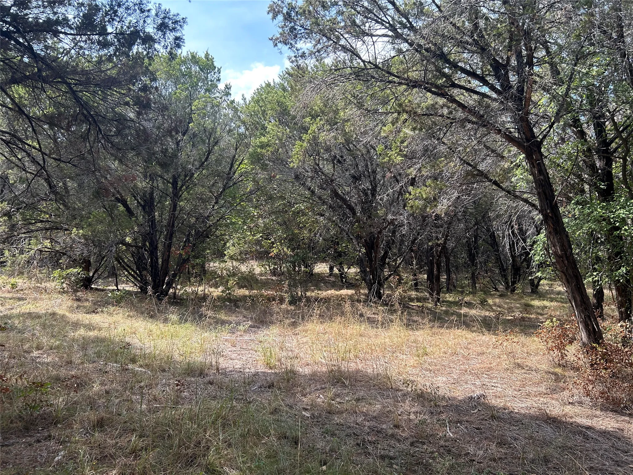 6020 Killmarnoch Dr, The Retreat. 80x179x80x179  .33 of an acre. Lots of trees. Club House, Community pool, tennis courts, and golf.
