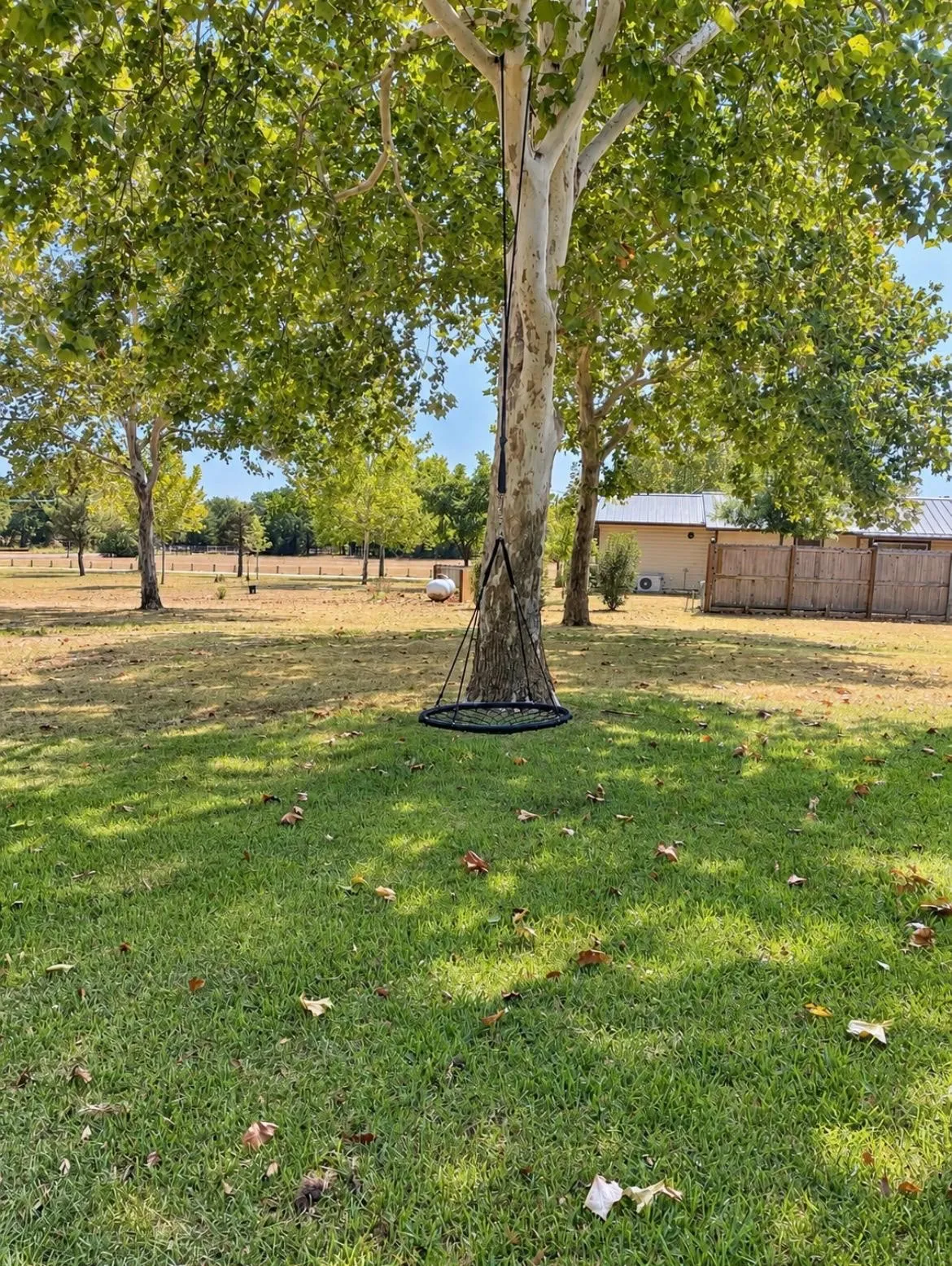 Expansive outdoor grounds featuring mature trees and a manicured lawn