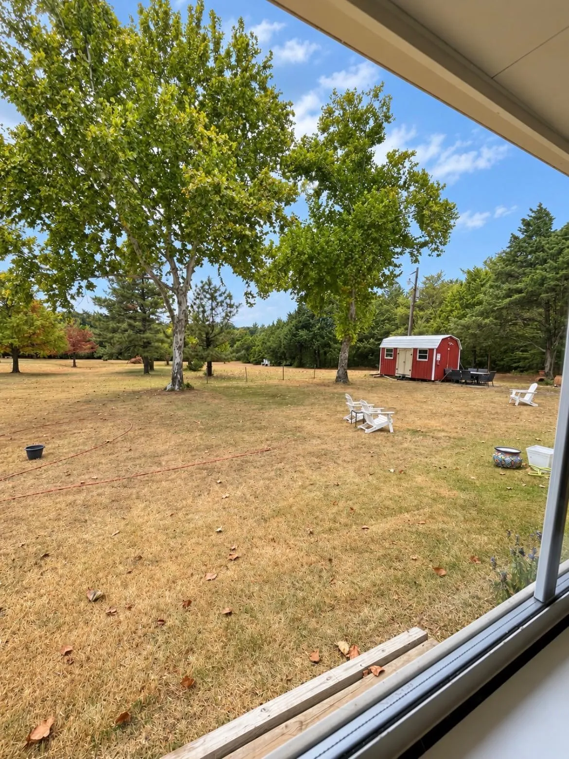 Expansive outdoor space featuring a detached red storage shed, mature trees, and a distant treeline