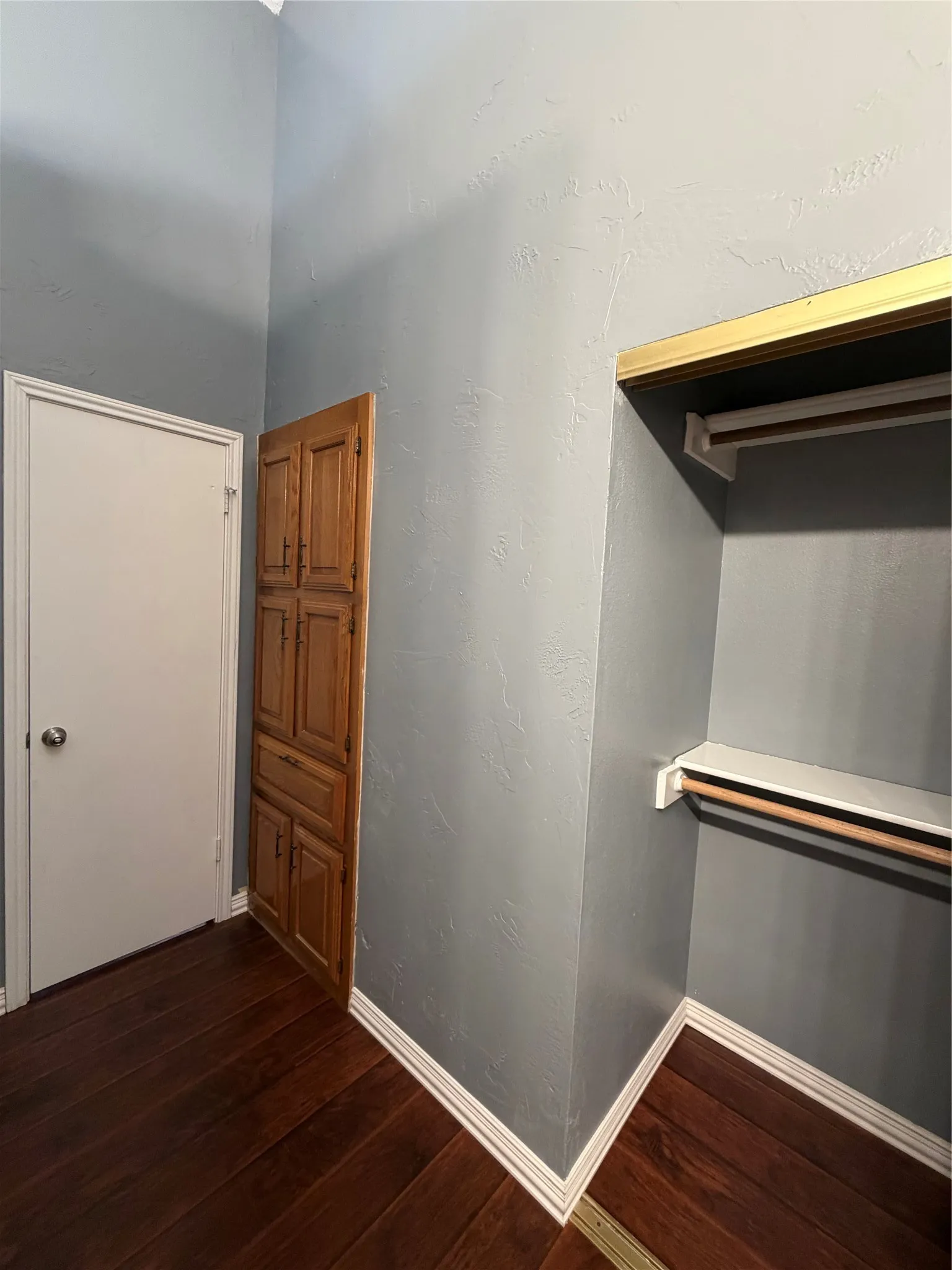 Wood-finish flooring, built-in wooden cabinetry, and a closet with a built-in shelf and hanging rod