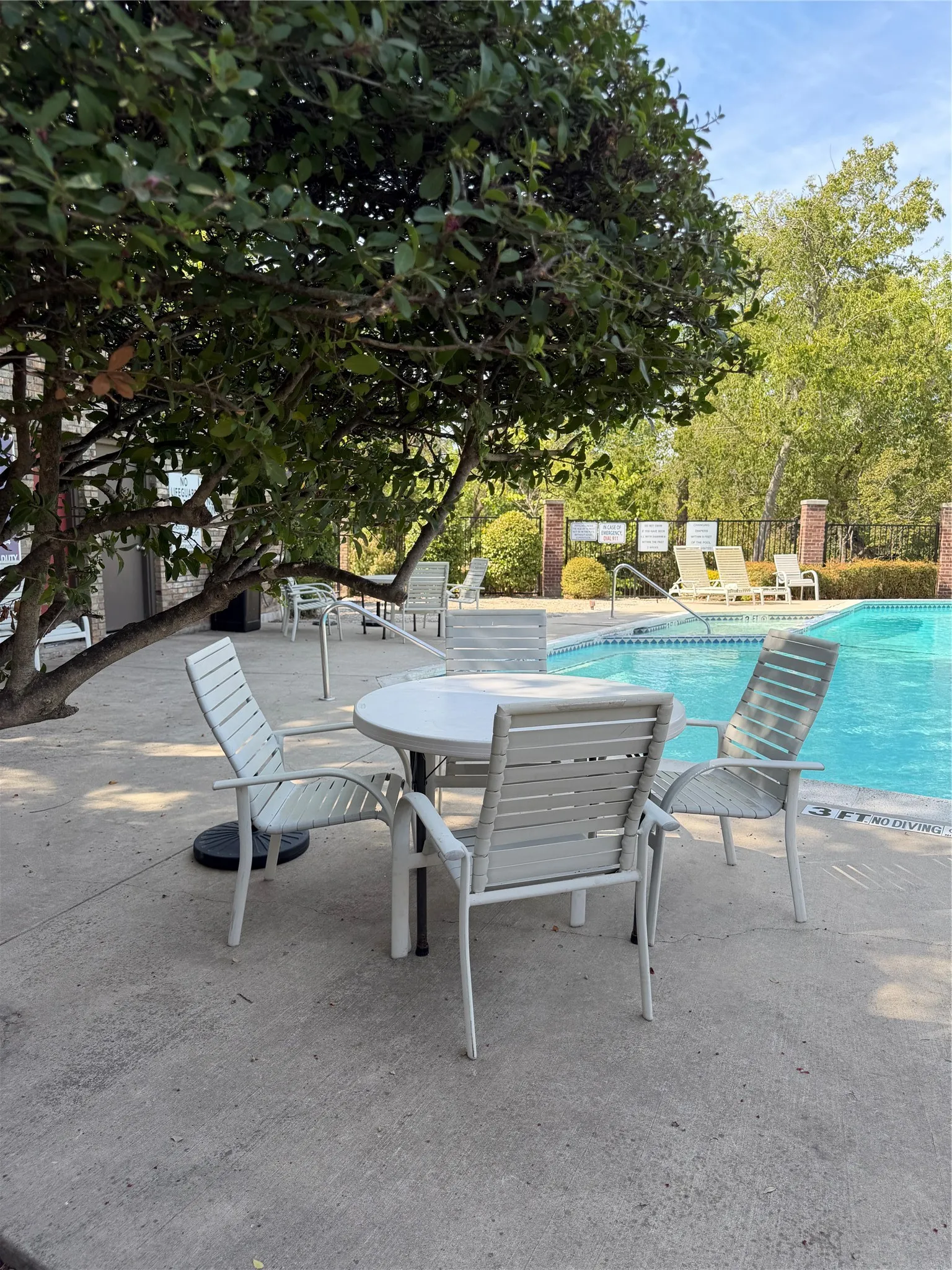 Concrete pool deck with mature tree coverage and perimeter fencing