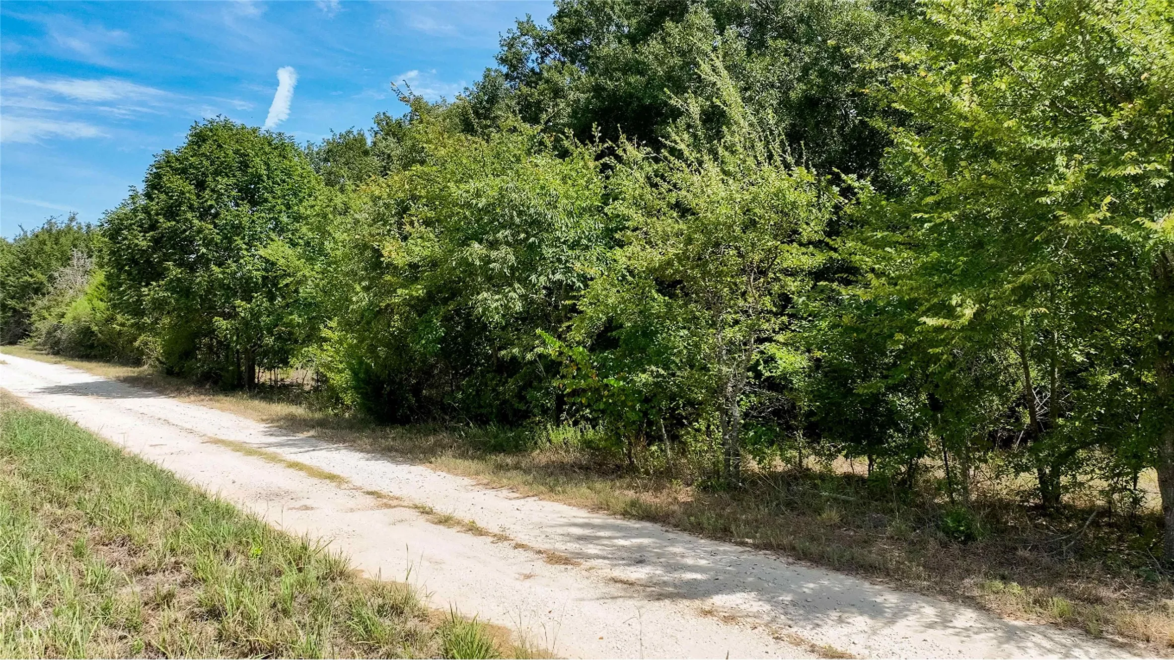 Improved Land For Sale in Freestone County , 335 S Fm 80, Teague, Texas 75860, 0, 0, Garage spaces, 0 Sqft, built in 0, mls#21396973, Real Estate Agent in Teague, Homes For Sale in Freestone county, Homes For Sale in Teague, Realtor in Teague Texas, Real Estate Brokerage Independent Realty Texas, Luminita Cordes Realtor
