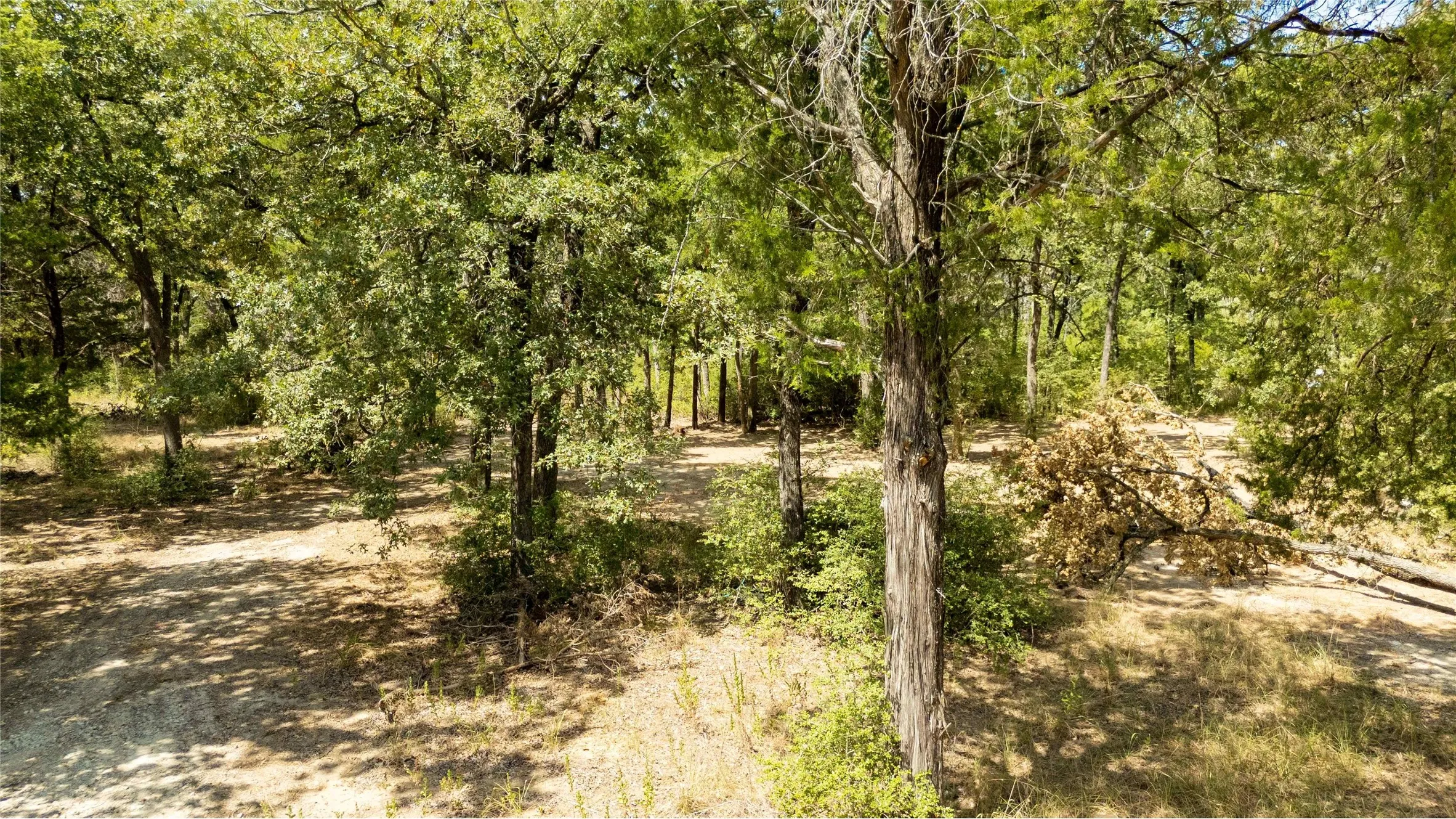 Improved Land For Sale in Freestone County , 335 S Fm 80, Teague, Texas 75860, 0, 0, Garage spaces, 0 Sqft, built in 0, mls#21396973, Real Estate Agent in Teague, Homes For Sale in Freestone county, Homes For Sale in Teague, Realtor in Teague Texas, Real Estate Brokerage Independent Realty Texas, Luminita Cordes Realtor