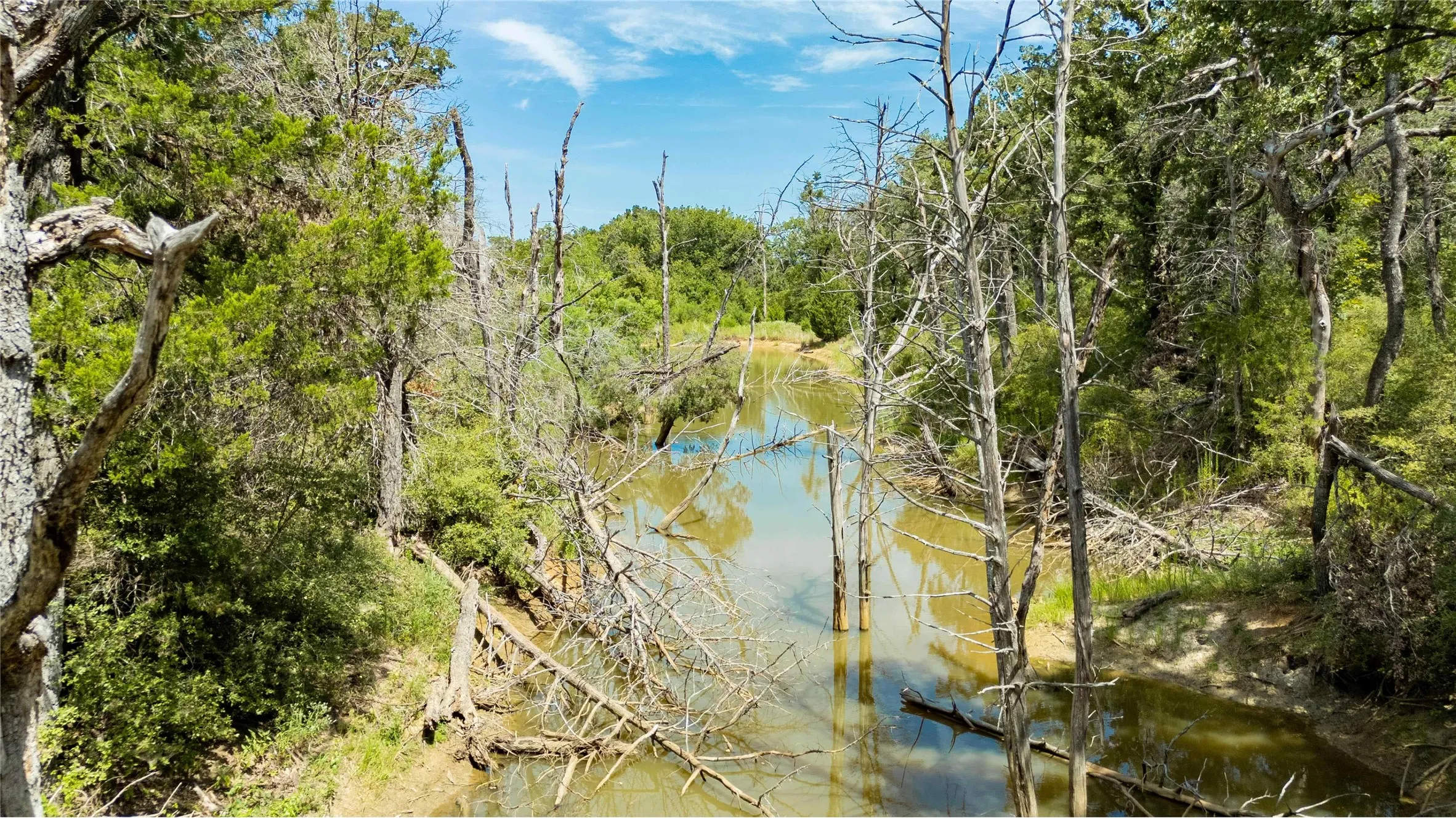 Improved Land For Sale in Freestone County , 335 S Fm 80, Teague, Texas 75860, 0, 0, Garage spaces, 0 Sqft, built in 0, mls#21396973, Real Estate Agent in Teague, Homes For Sale in Freestone county, Homes For Sale in Teague, Realtor in Teague Texas, Real Estate Brokerage Independent Realty Texas, Luminita Cordes Realtor