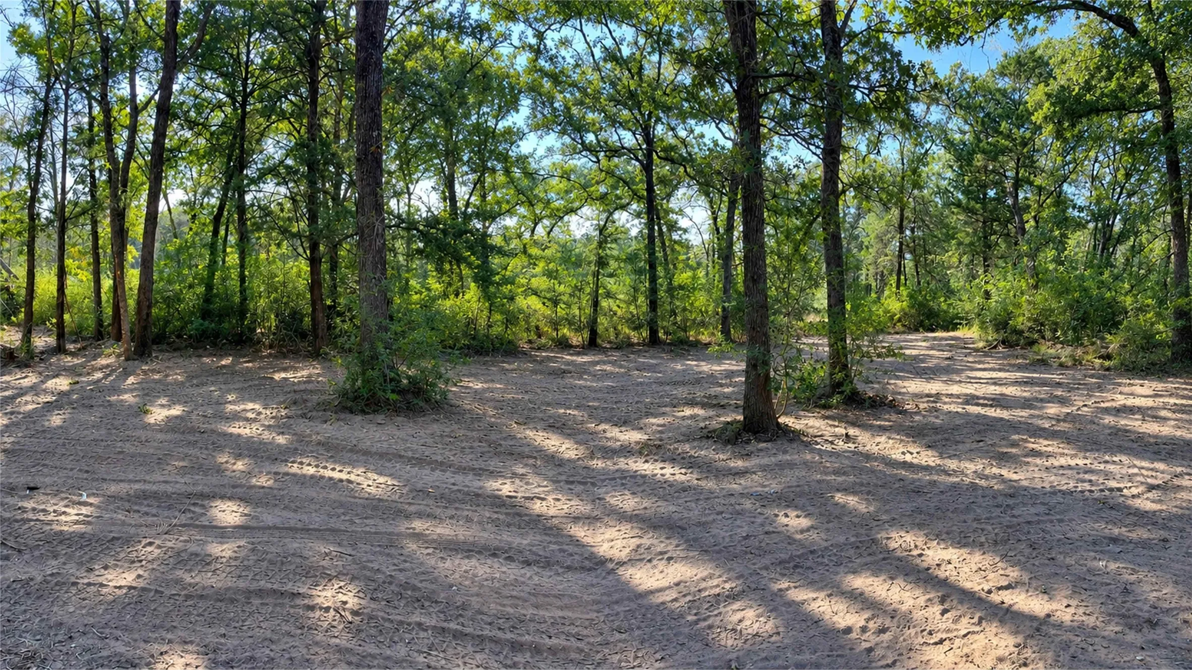 Improved Land For Sale in Freestone County , 335 S Fm 80, Teague, Texas 75860, 0, 0, Garage spaces, 0 Sqft, built in 0, mls#21396973, Real Estate Agent in Teague, Homes For Sale in Freestone county, Homes For Sale in Teague, Realtor in Teague Texas, Real Estate Brokerage Independent Realty Texas, Luminita Cordes Realtor
