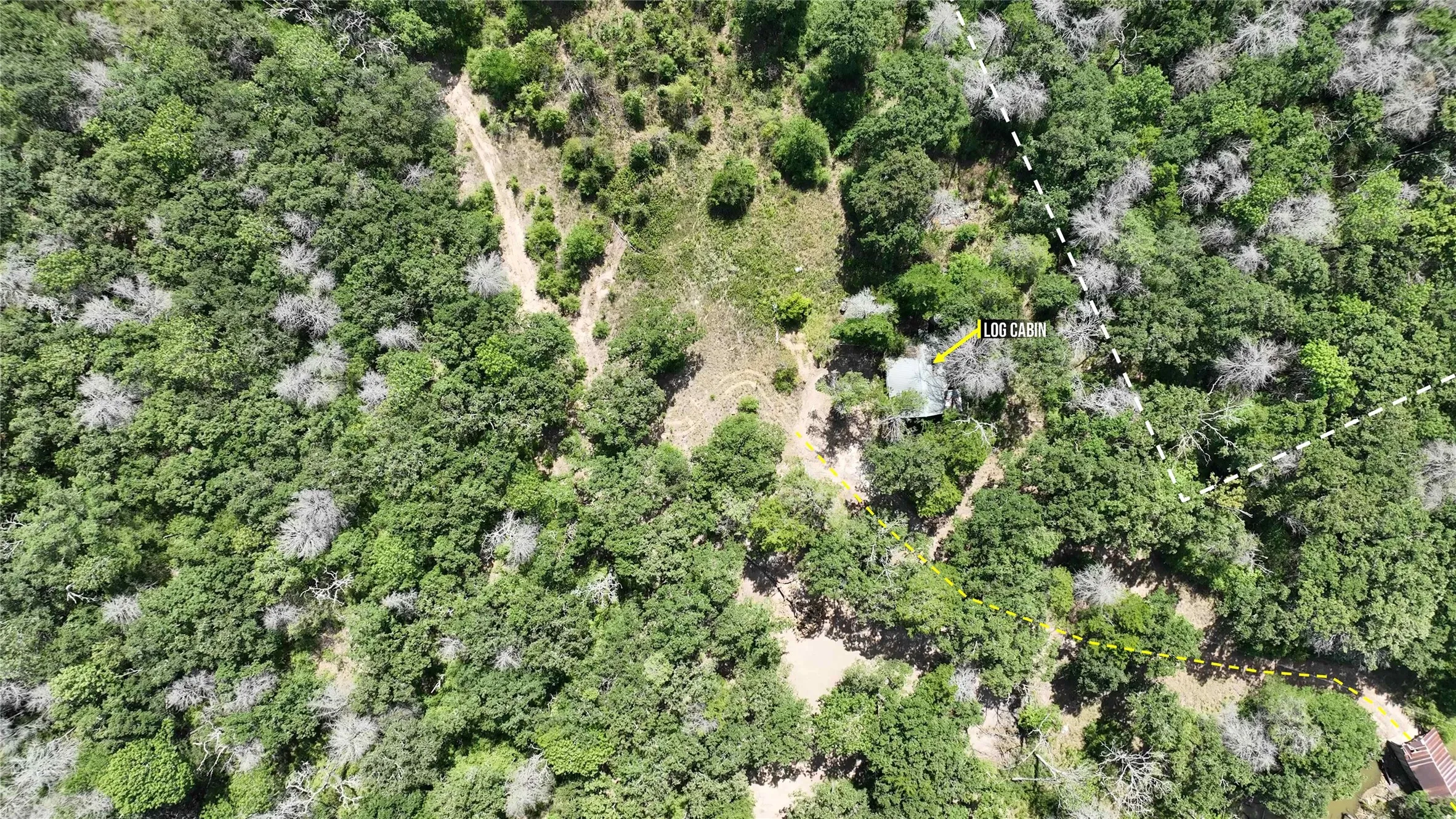 Improved Land For Sale in Freestone County , 335 S Fm 80, Teague, Texas 75860, 0, 0, Garage spaces, 0 Sqft, built in 0, mls#21396973, Real Estate Agent in Teague, Homes For Sale in Freestone county, Homes For Sale in Teague, Realtor in Teague Texas, Real Estate Brokerage Independent Realty Texas, Luminita Cordes Realtor
