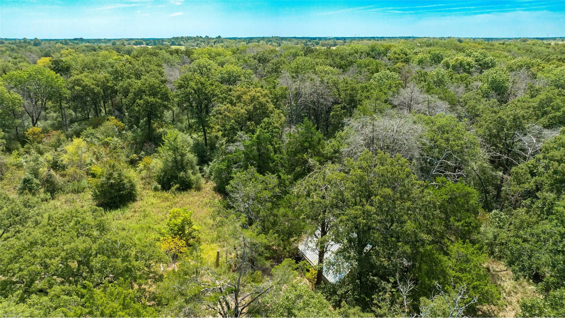 Improved Land For Sale in Freestone County , 335 S Fm 80, Teague, Texas 75860, 0, 0, Garage spaces, 0 Sqft, built in 0, mls#21396973, Real Estate Agent in Teague, Homes For Sale in Freestone county, Homes For Sale in Teague, Realtor in Teague Texas, Real Estate Brokerage Independent Realty Texas, Luminita Cordes Realtor