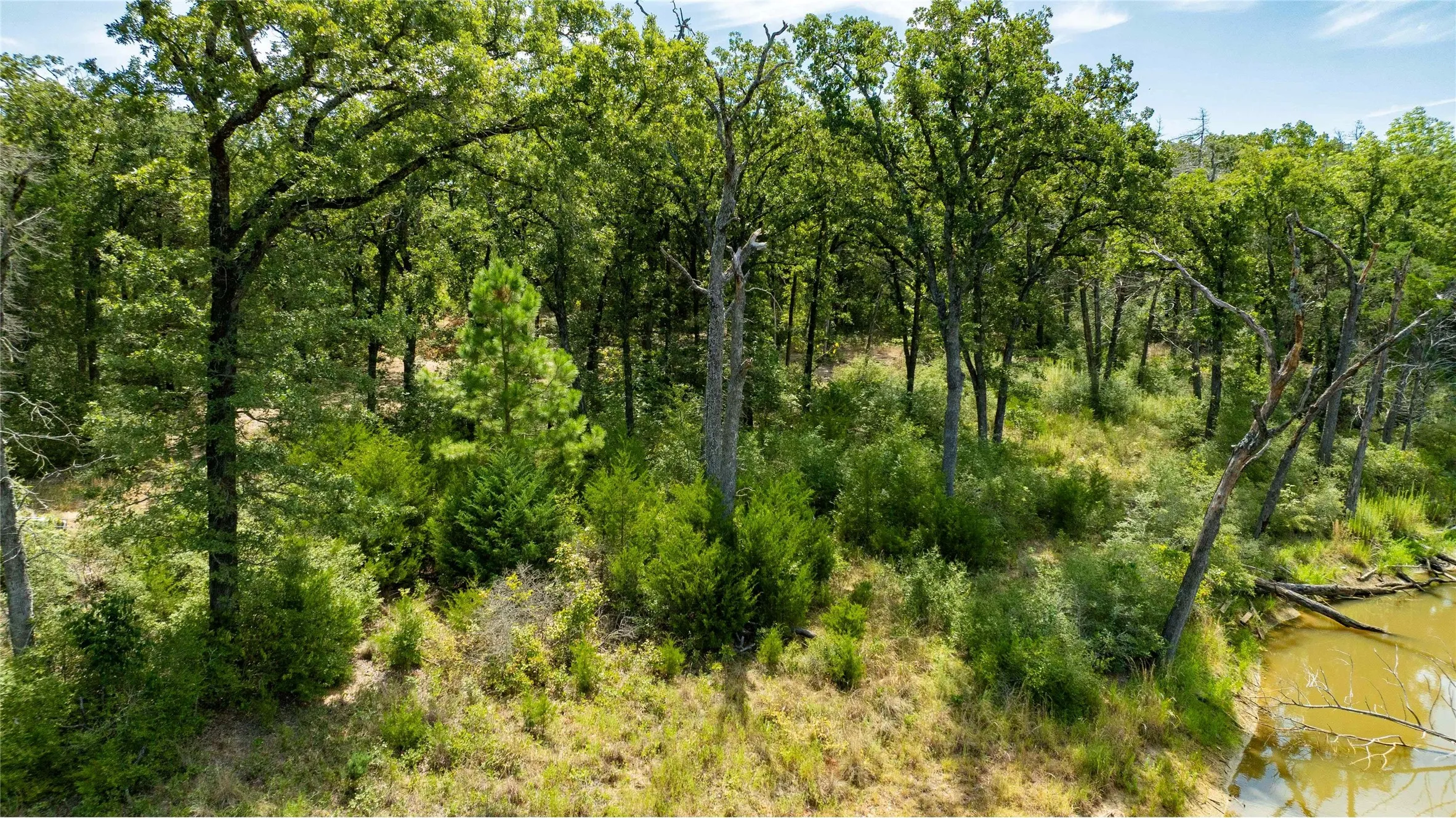 Improved Land For Sale in Freestone County , 335 S Fm 80, Teague, Texas 75860, 0, 0, Garage spaces, 0 Sqft, built in 0, mls#21396973, Real Estate Agent in Teague, Homes For Sale in Freestone county, Homes For Sale in Teague, Realtor in Teague Texas, Real Estate Brokerage Independent Realty Texas, Luminita Cordes Realtor