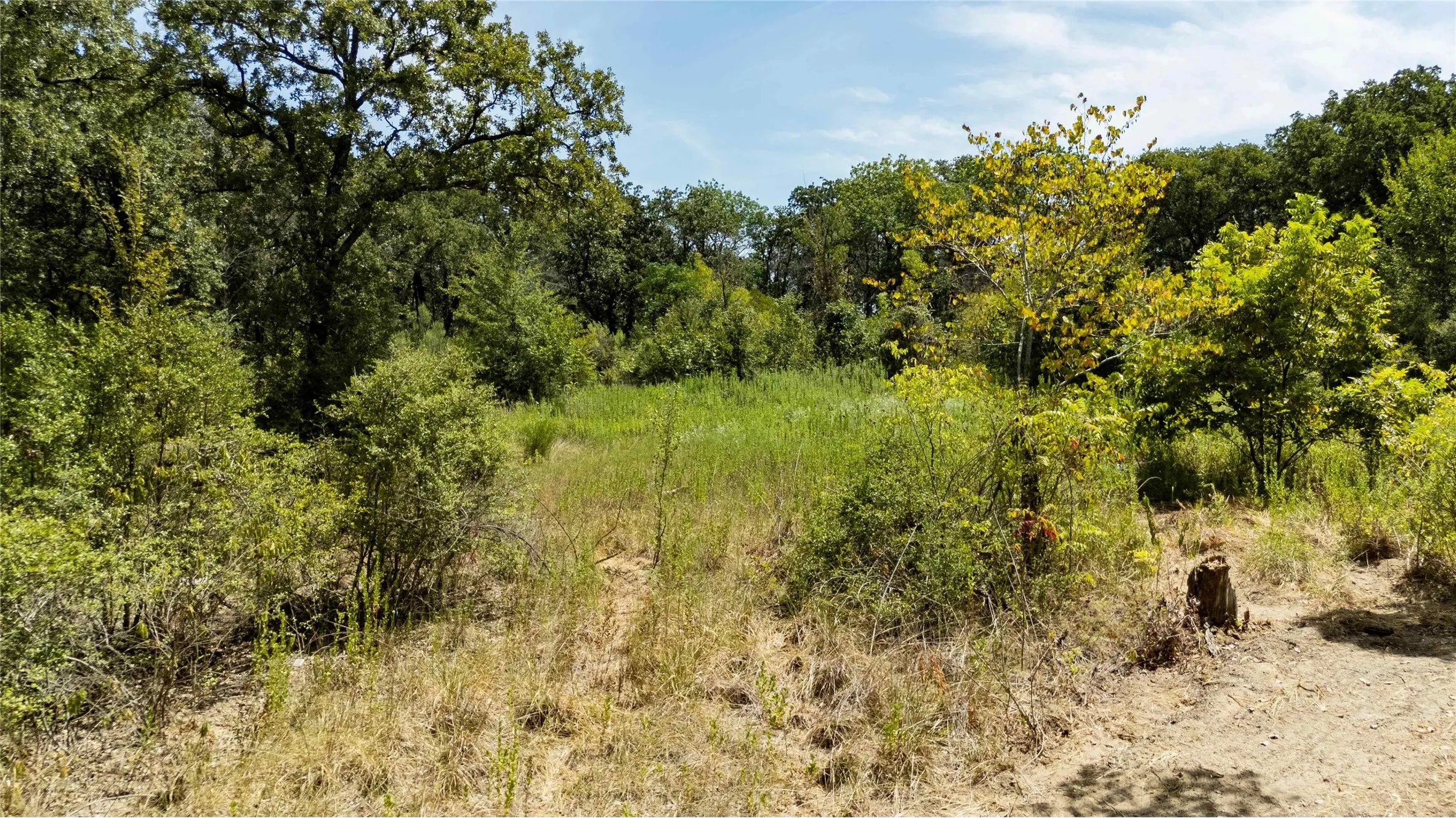 Improved Land For Sale in Freestone County , 335 S Fm 80, Teague, Texas 75860, 0, 0, Garage spaces, 0 Sqft, built in 0, mls#21396973, Real Estate Agent in Teague, Homes For Sale in Freestone county, Homes For Sale in Teague, Realtor in Teague Texas, Real Estate Brokerage Independent Realty Texas, Luminita Cordes Realtor