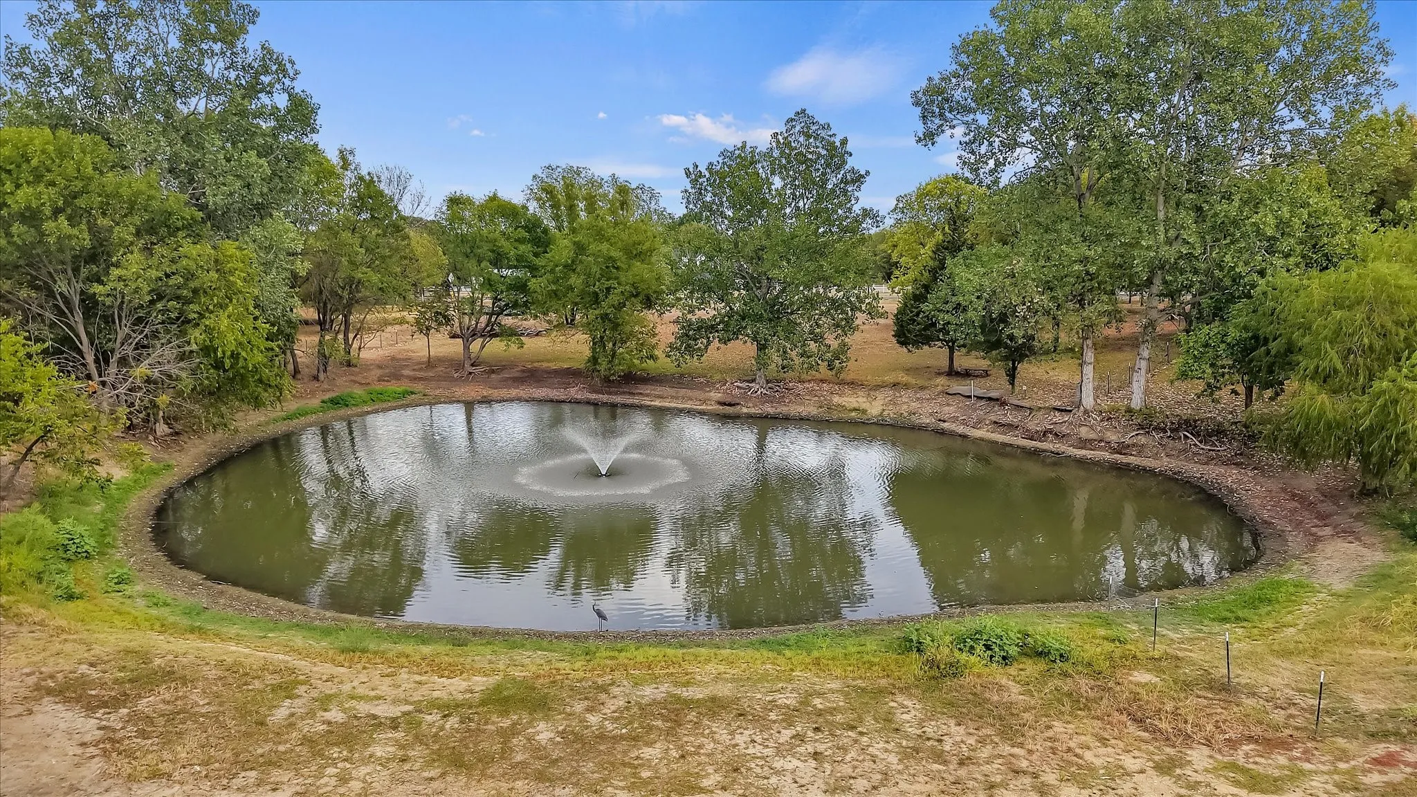 Stocked Pond in Backyard!