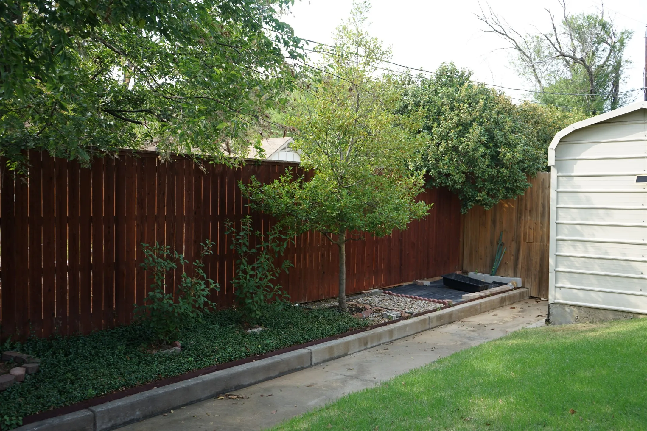 Stained wood privacy fence, established trees, concrete pathway, and a detached storage shed