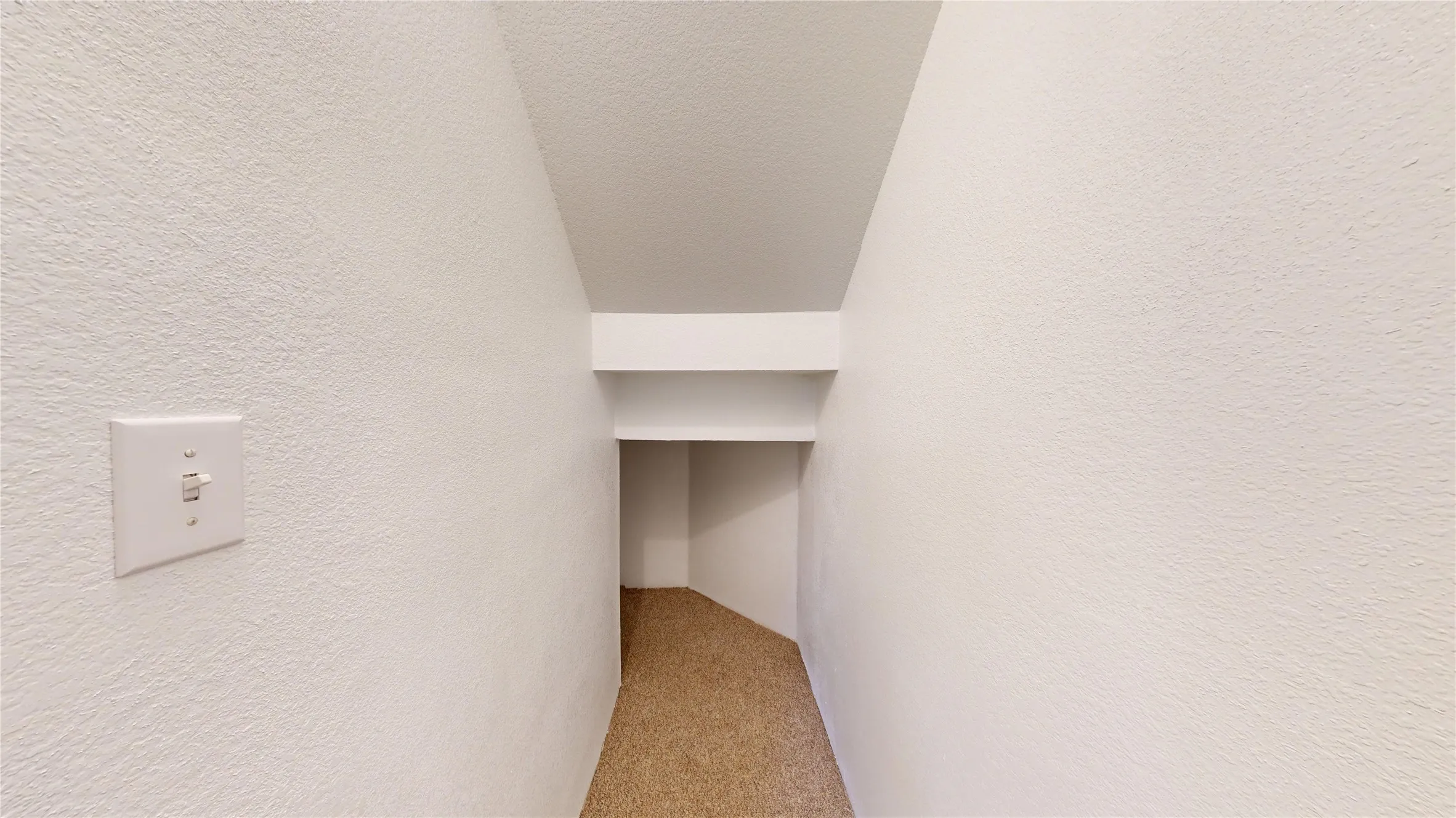 Built-in shelving with neutral wall finishes and carpeted flooring