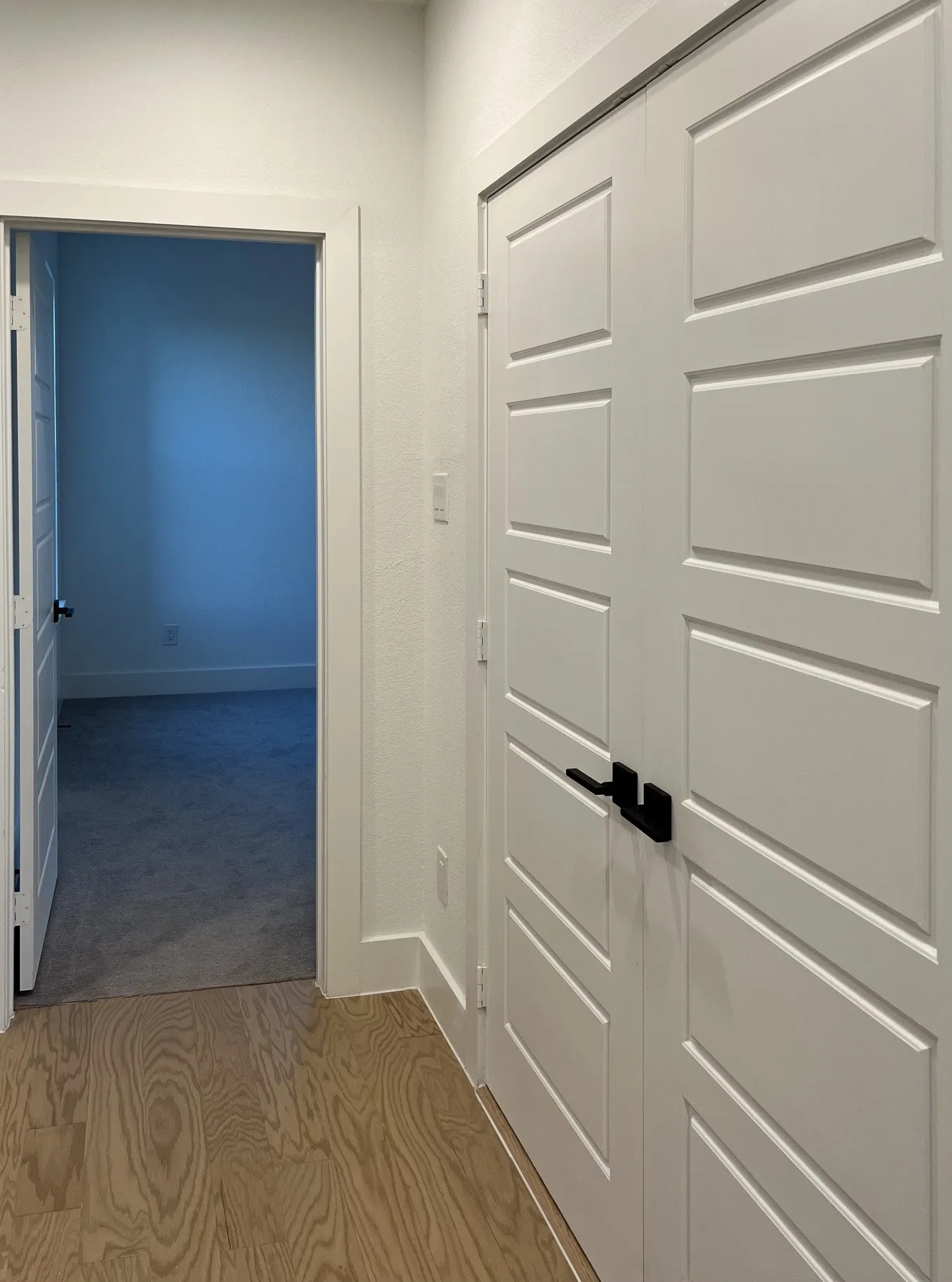 Hallway between bedrooms. Wood-finish flooring, white paneled doors, and black door hardware