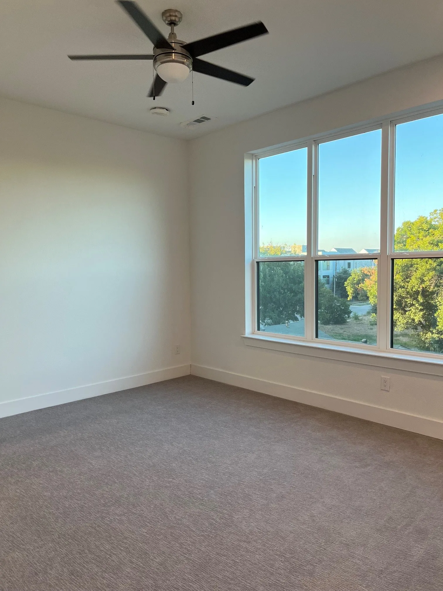 Neutral-toned carpeting in Primary Bedroom with white walls