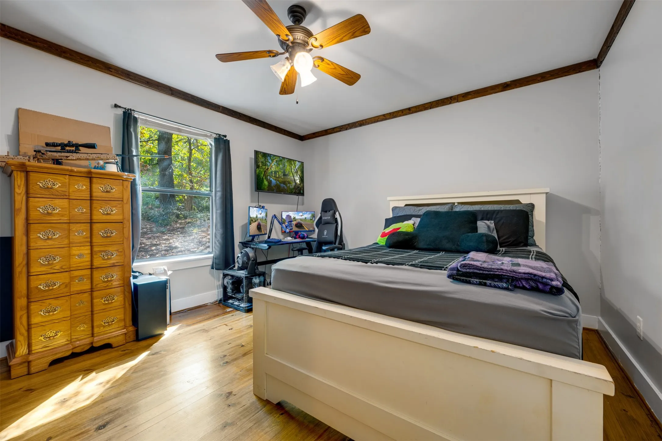 Wood-finish flooring with a ceiling fan, crown molding, and a window with a wooded backdrop