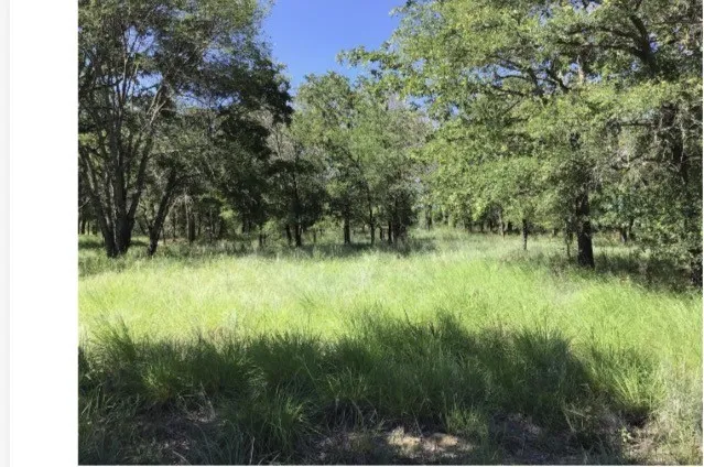 Unimproved Land For Sale in Wise County , 0 Cozy Cove Court, Chico, Texas 76431, 0, 0, Garage spaces, 0 Sqft, built in 0, mls#21394123, Real Estate Agent in Chico, Homes For Sale in Wise county, Homes For Sale in Chico, Realtor in Chico Texas, Real Estate Brokerage Independent Realty Texas, Luminita Cordes Realtor