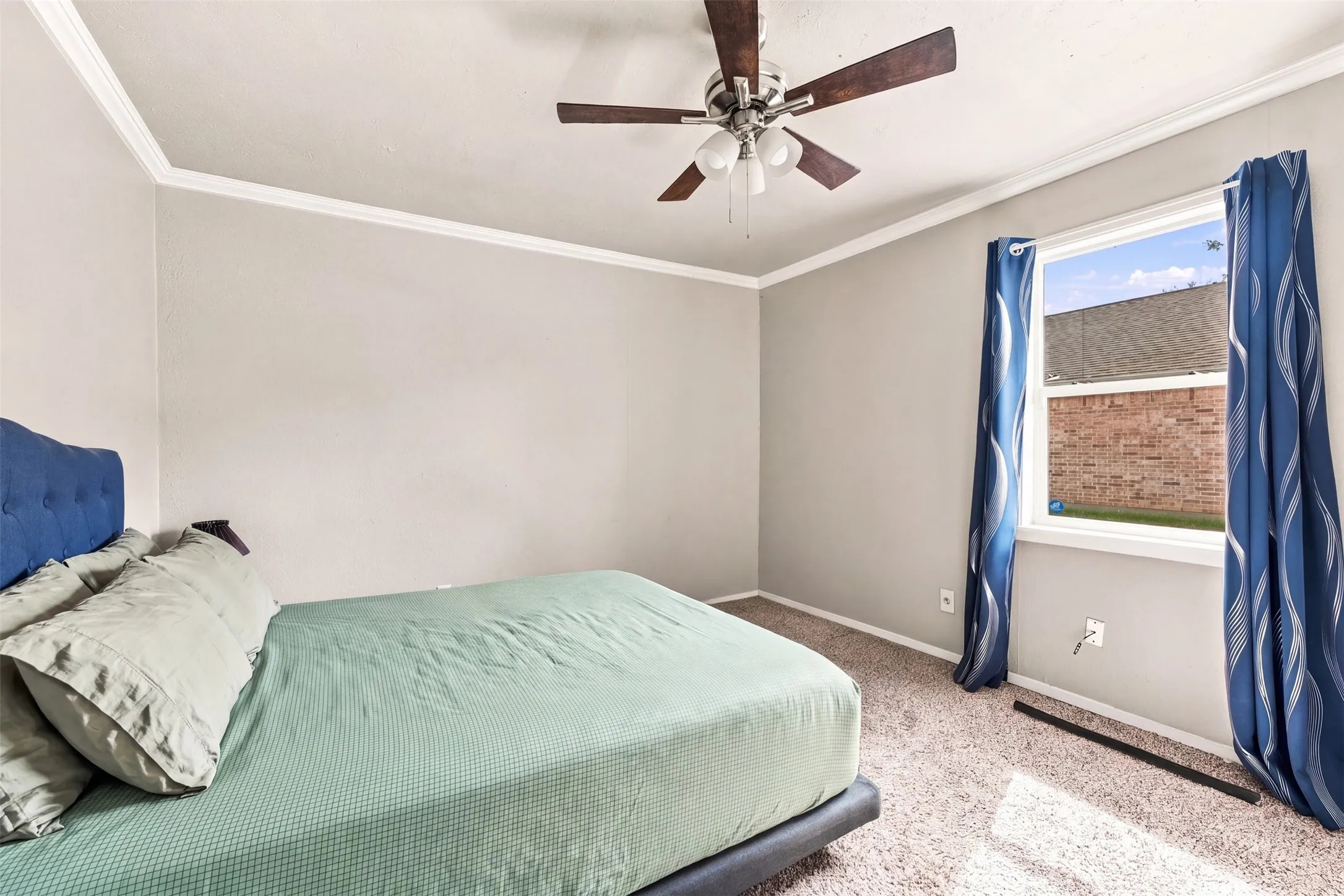 Neutral wall paint, crown molding, ceiling fan with light fixture, carpeted flooring, and a single window