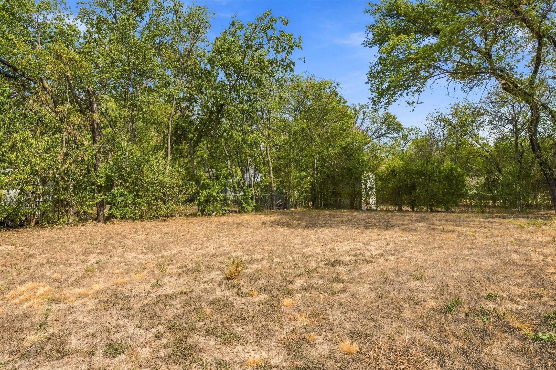 Expansive lot featuring mature trees and ample open space