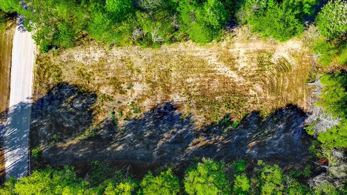 Unimproved Land For Sale in Navarro County , LOT 3 SE CR 3048E, Corsicana, Texas 75109, 0, 0, Garage spaces, 0 Sqft, built in 0, mls#21397078, Real Estate Agent in Corsicana, Homes For Sale in Navarro county, Homes For Sale in Corsicana, Realtor in Corsicana Texas, Real Estate Brokerage Independent Realty Texas, Luminita Cordes Realtor
