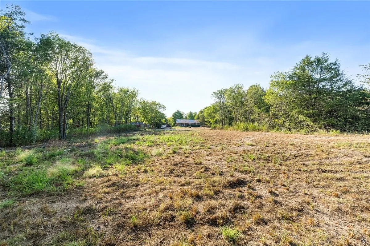 Unimproved Land For Sale in Navarro County , LOT 3 SE CR 3048E, Corsicana, Texas 75109, 0, 0, Garage spaces, 0 Sqft, built in 0, mls#21397078, Real Estate Agent in Corsicana, Homes For Sale in Navarro county, Homes For Sale in Corsicana, Realtor in Corsicana Texas, Real Estate Brokerage Independent Realty Texas, Luminita Cordes Realtor