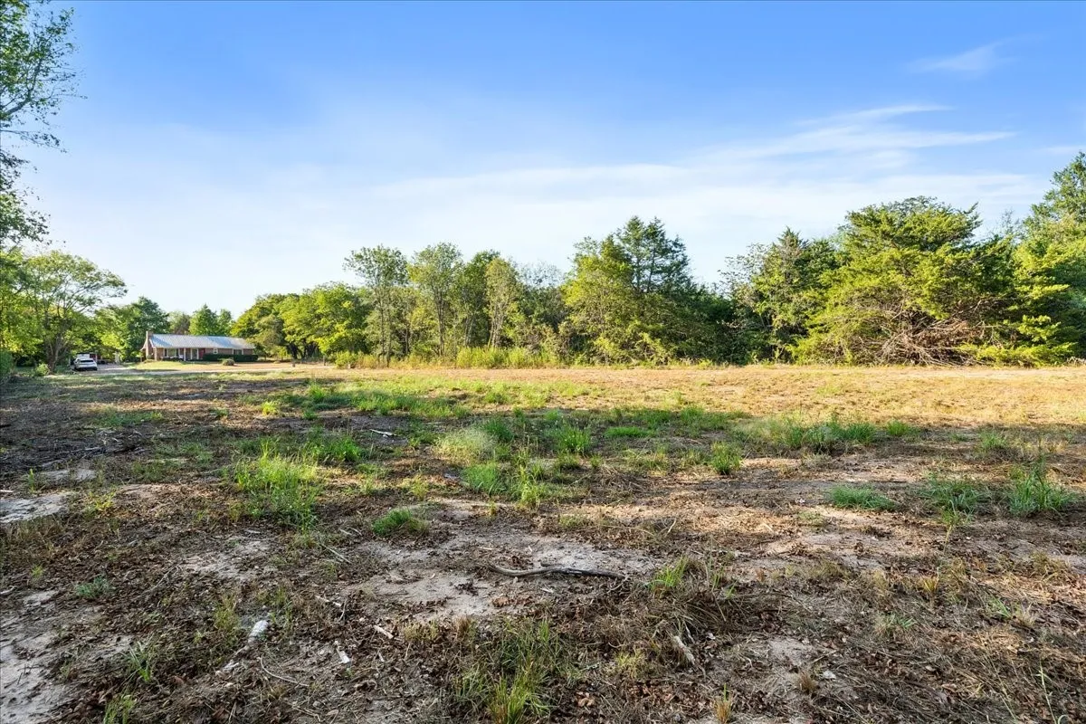Unimproved Land For Sale in Navarro County , LOT 3 SE CR 3048E, Corsicana, Texas 75109, 0, 0, Garage spaces, 0 Sqft, built in 0, mls#21397078, Real Estate Agent in Corsicana, Homes For Sale in Navarro county, Homes For Sale in Corsicana, Realtor in Corsicana Texas, Real Estate Brokerage Independent Realty Texas, Luminita Cordes Realtor