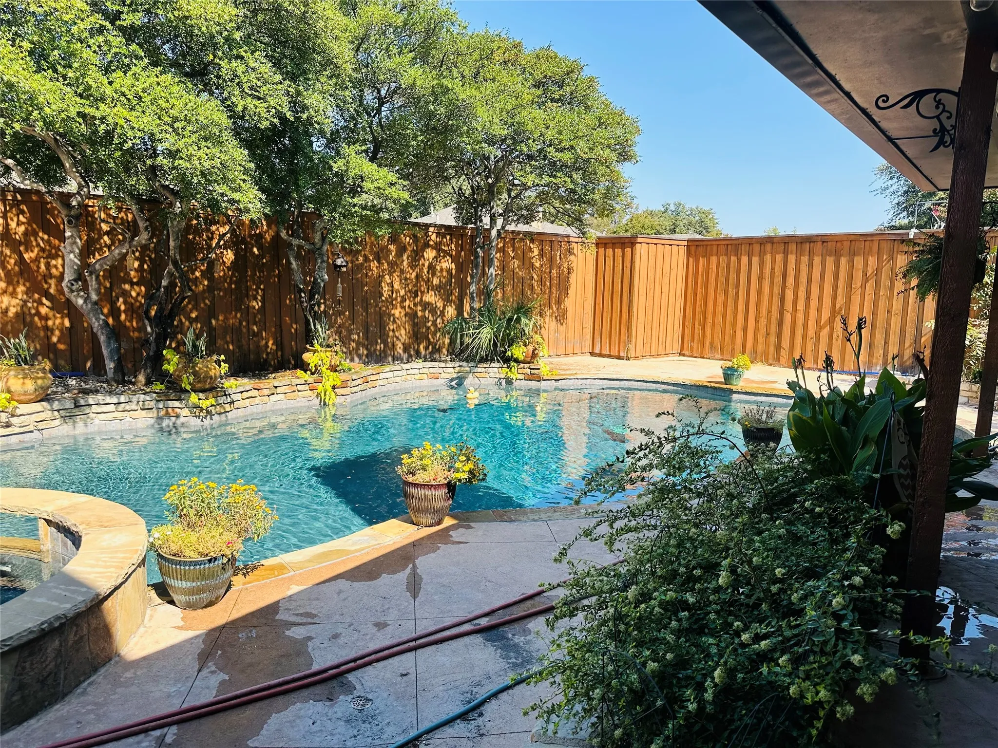 Fenced backyard with a swimming pool, integrated spa, stone coping, concrete patio, and mature trees