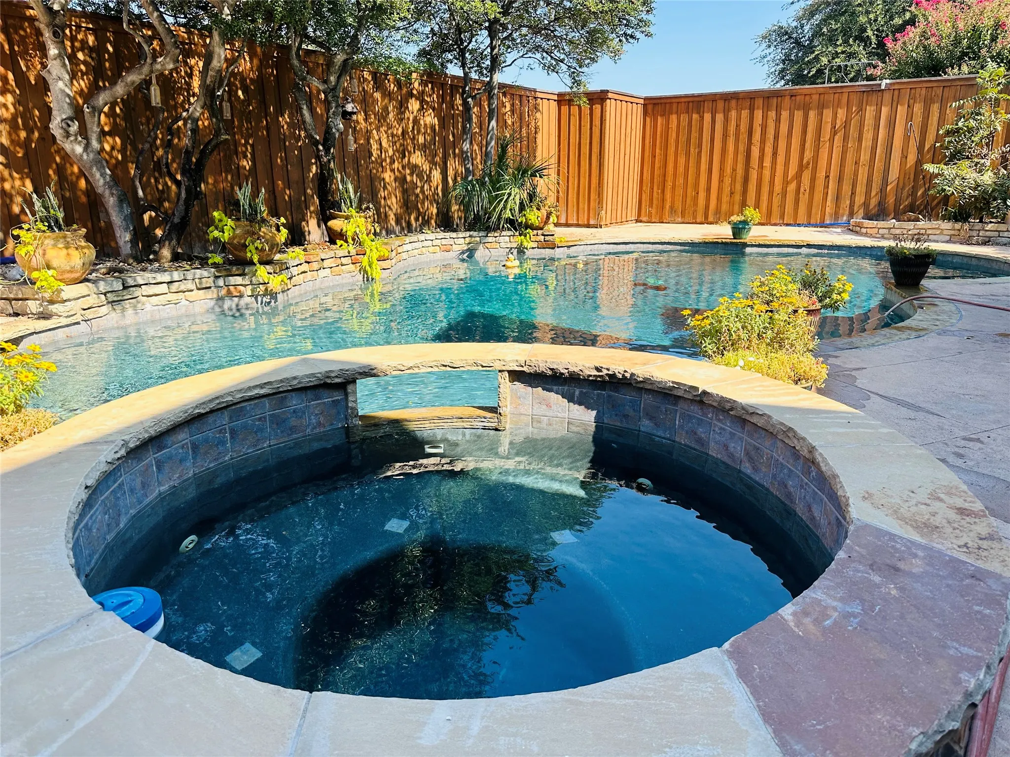 Large backyard pool with integrated spa and stone coping