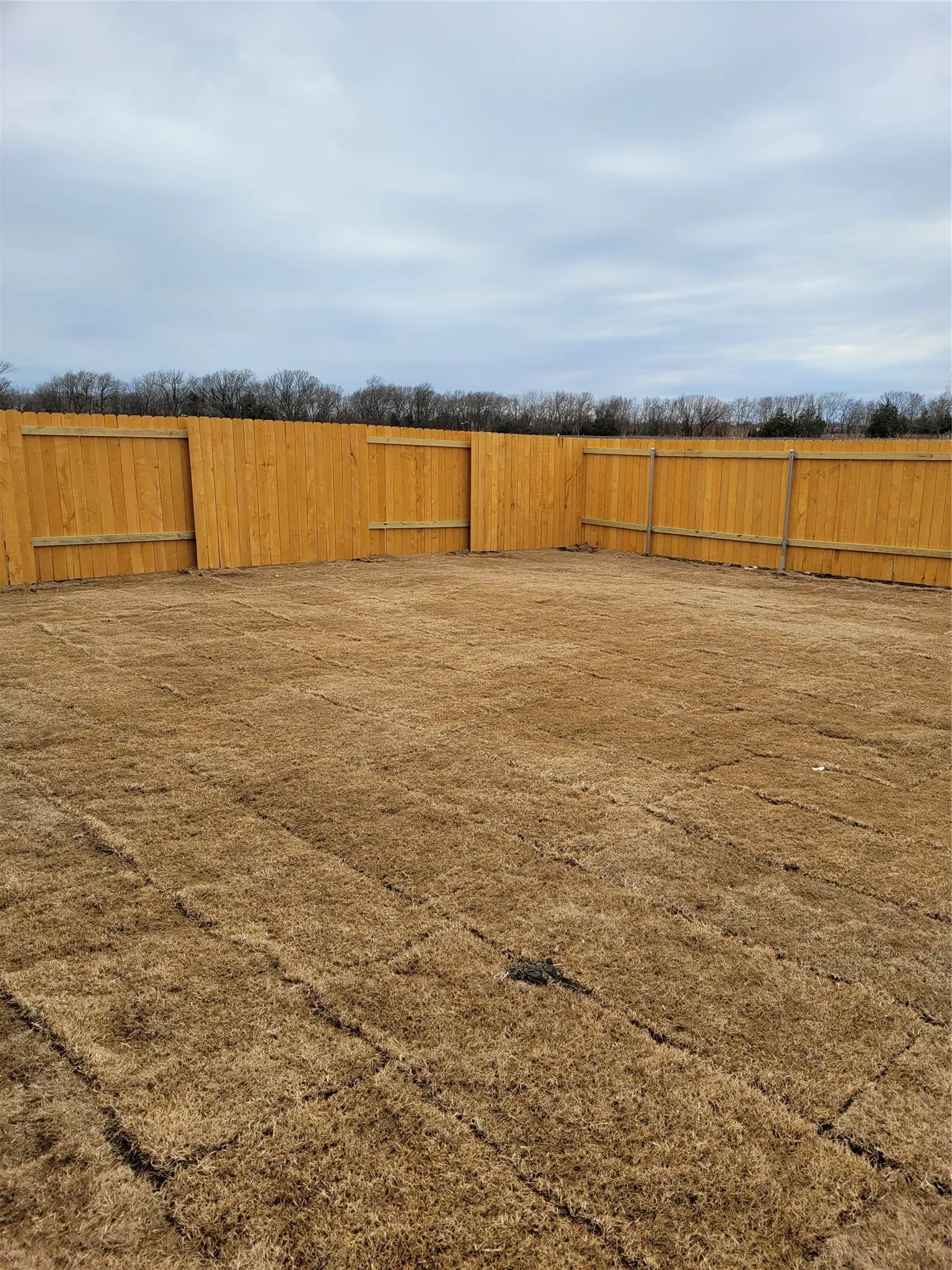 Single Family Residence For Rent in Collin County , 3205 Bowen Street, Anna, Texas 75409, 4 Bedroom, 3 Bathroom, 2 Garage spaces, 2,210 Sqft, built in 2021, mls#21397103, Real Estate Agent in Anna, Homes For Rent in Collin county, Homes For Rent in Anna, Realtor in Anna Texas, Real Estate Brokerage Independent Realty Texas, Luminita Cordes Realtor