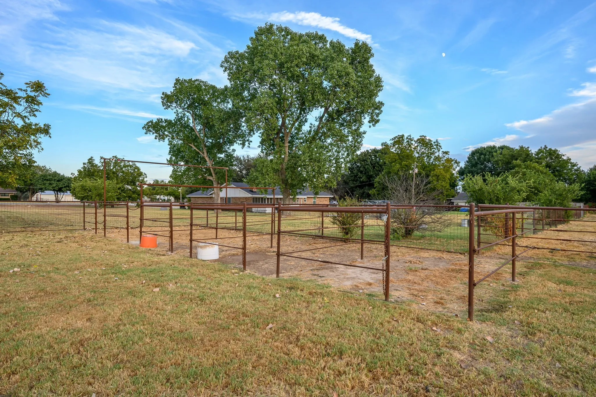4 outside pens