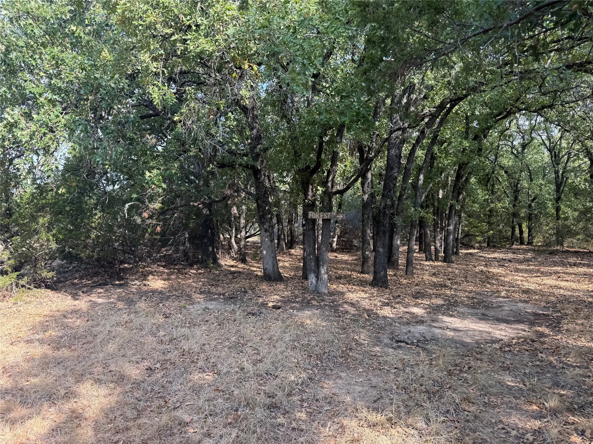 Farm For Sale in Bosque County , 467 County Road 2371, Meridian, Texas 76665, 3 Bedroom, 2 Bathroom, Garage spaces, 1,613 Sqft, built in 1971, mls#21396770, Real Estate Agent in Meridian, Homes For Sale in Bosque county, Homes For Sale in Meridian, Realtor in Meridian Texas, Real Estate Brokerage Independent Realty Texas, Luminita Cordes Realtor