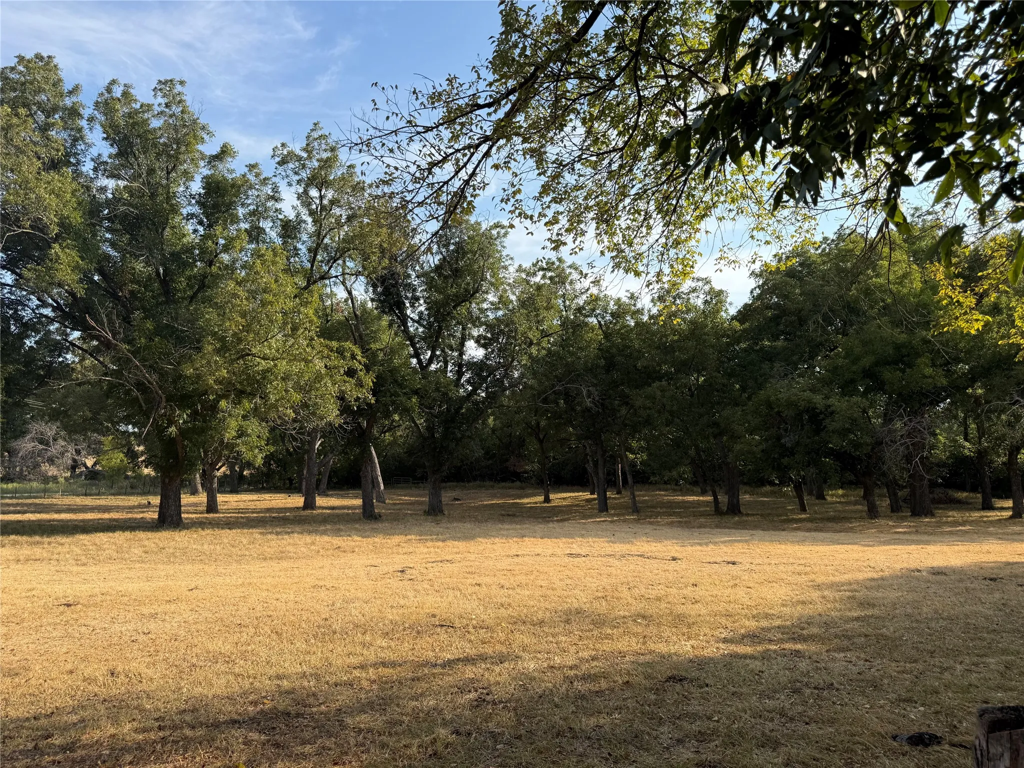 Farm For Sale in Bosque County , 467 County Road 2371, Meridian, Texas 76665, 3 Bedroom, 2 Bathroom, Garage spaces, 1,613 Sqft, built in 1971, mls#21396770, Real Estate Agent in Meridian, Homes For Sale in Bosque county, Homes For Sale in Meridian, Realtor in Meridian Texas, Real Estate Brokerage Independent Realty Texas, Luminita Cordes Realtor