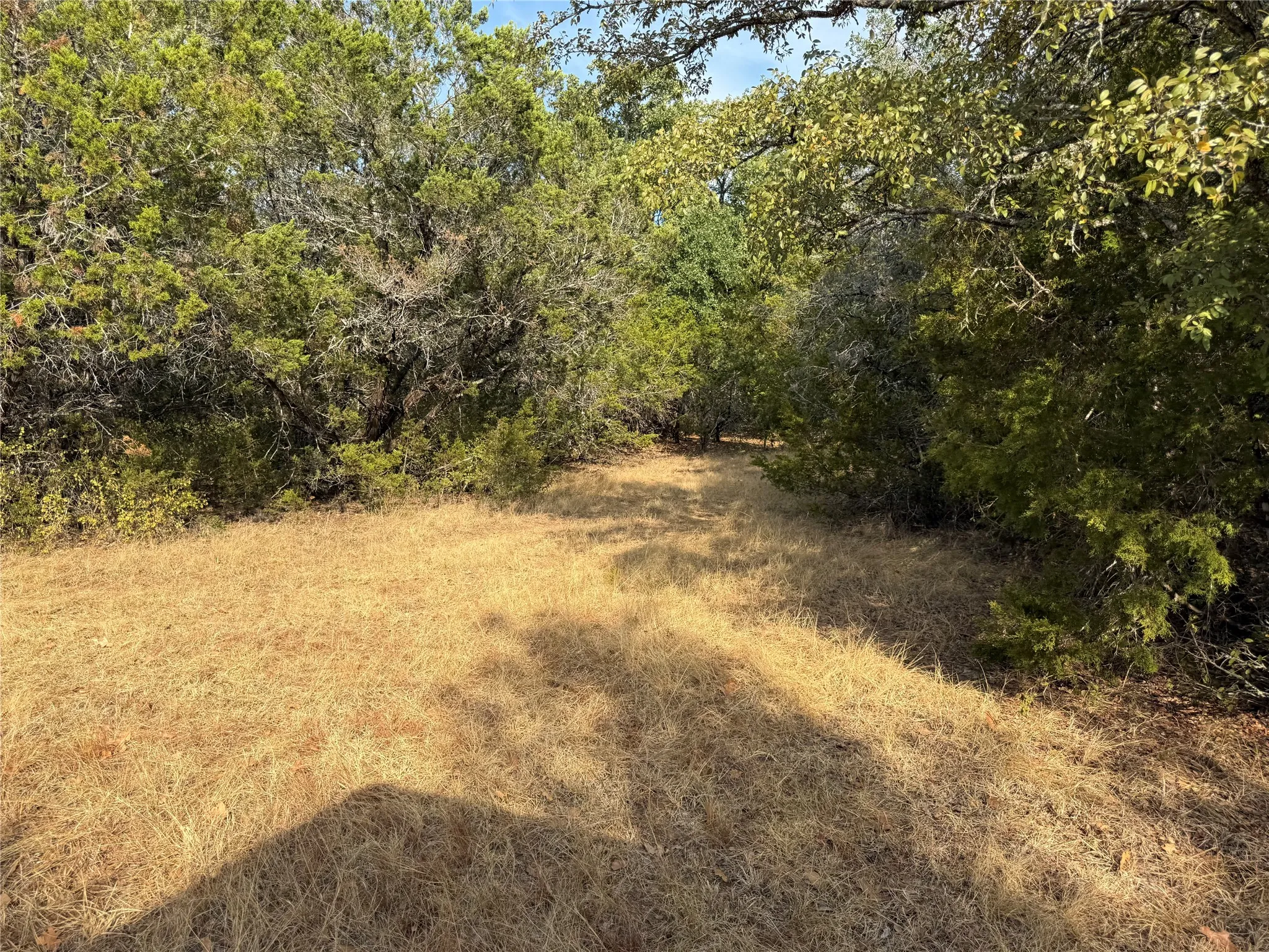 Farm For Sale in Bosque County , 467 County Road 2371, Meridian, Texas 76665, 3 Bedroom, 2 Bathroom, Garage spaces, 1,613 Sqft, built in 1971, mls#21396770, Real Estate Agent in Meridian, Homes For Sale in Bosque county, Homes For Sale in Meridian, Realtor in Meridian Texas, Real Estate Brokerage Independent Realty Texas, Luminita Cordes Realtor