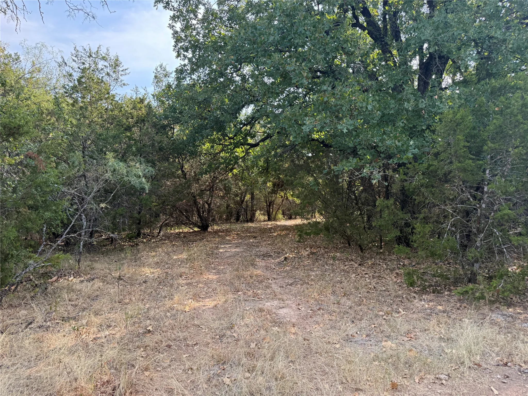 Farm For Sale in Bosque County , 467 County Road 2371, Meridian, Texas 76665, 3 Bedroom, 2 Bathroom, Garage spaces, 1,613 Sqft, built in 1971, mls#21396770, Real Estate Agent in Meridian, Homes For Sale in Bosque county, Homes For Sale in Meridian, Realtor in Meridian Texas, Real Estate Brokerage Independent Realty Texas, Luminita Cordes Realtor