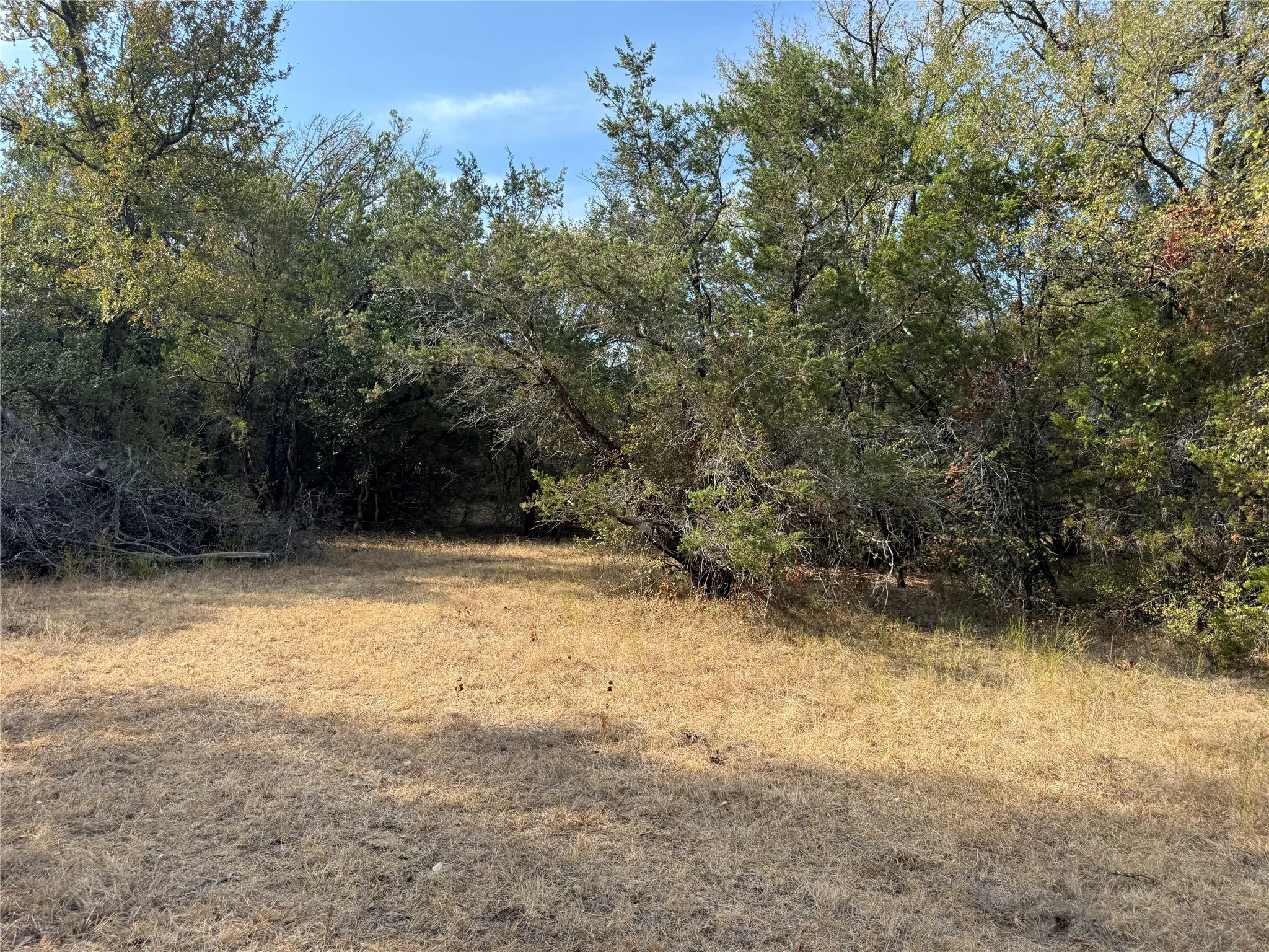 Farm For Sale in Bosque County , 467 County Road 2371, Meridian, Texas 76665, 3 Bedroom, 2 Bathroom, Garage spaces, 1,613 Sqft, built in 1971, mls#21396770, Real Estate Agent in Meridian, Homes For Sale in Bosque county, Homes For Sale in Meridian, Realtor in Meridian Texas, Real Estate Brokerage Independent Realty Texas, Luminita Cordes Realtor