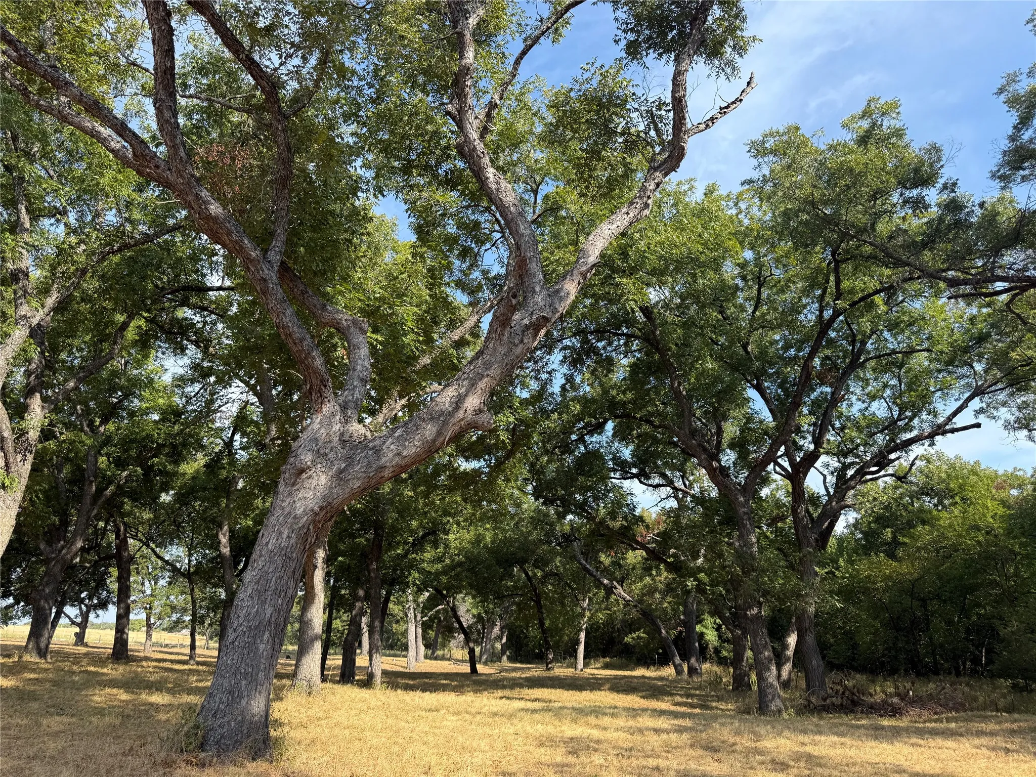 Farm For Sale in Bosque County , 467 County Road 2371, Meridian, Texas 76665, 3 Bedroom, 2 Bathroom, Garage spaces, 1,613 Sqft, built in 1971, mls#21396770, Real Estate Agent in Meridian, Homes For Sale in Bosque county, Homes For Sale in Meridian, Realtor in Meridian Texas, Real Estate Brokerage Independent Realty Texas, Luminita Cordes Realtor