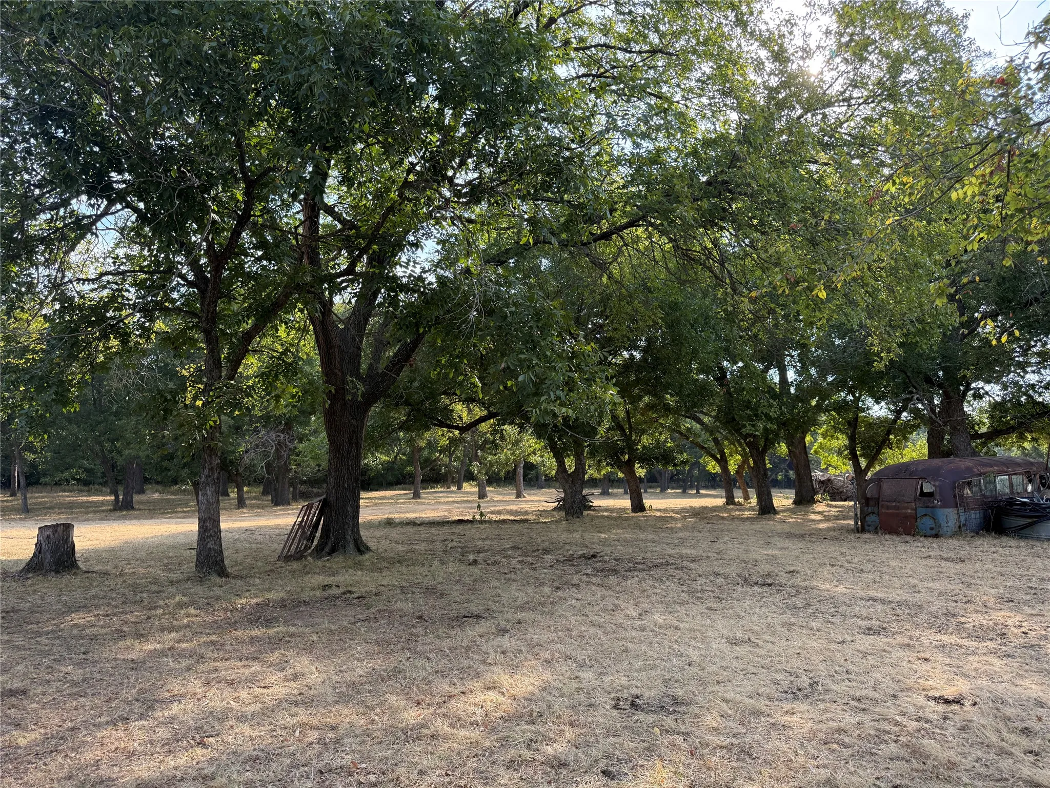 Farm For Sale in Bosque County , 467 County Road 2371, Meridian, Texas 76665, 3 Bedroom, 2 Bathroom, Garage spaces, 1,613 Sqft, built in 1971, mls#21396770, Real Estate Agent in Meridian, Homes For Sale in Bosque county, Homes For Sale in Meridian, Realtor in Meridian Texas, Real Estate Brokerage Independent Realty Texas, Luminita Cordes Realtor