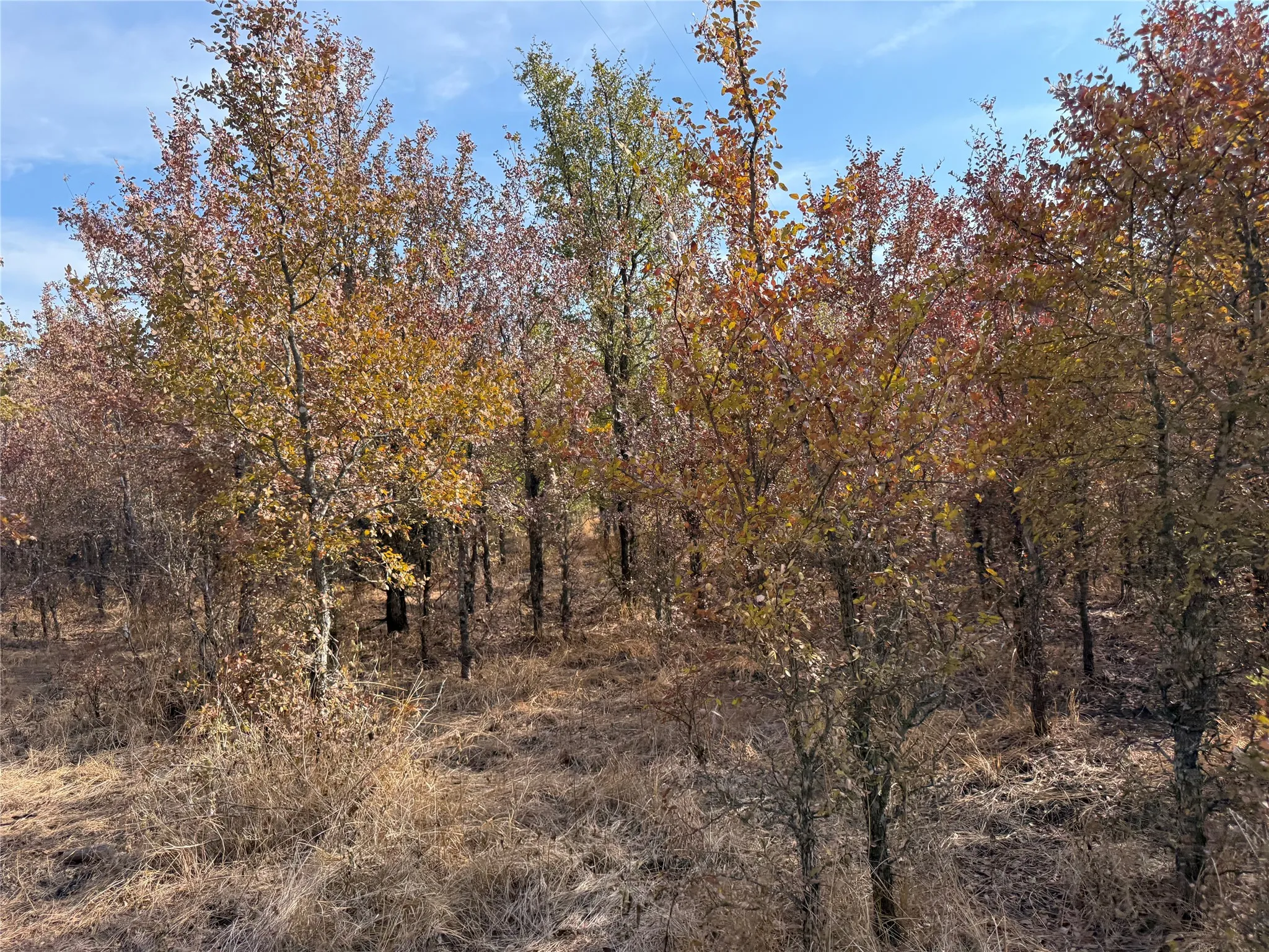Farm For Sale in Bosque County , 467 County Road 2371, Meridian, Texas 76665, 3 Bedroom, 2 Bathroom, Garage spaces, 1,613 Sqft, built in 1971, mls#21396770, Real Estate Agent in Meridian, Homes For Sale in Bosque county, Homes For Sale in Meridian, Realtor in Meridian Texas, Real Estate Brokerage Independent Realty Texas, Luminita Cordes Realtor